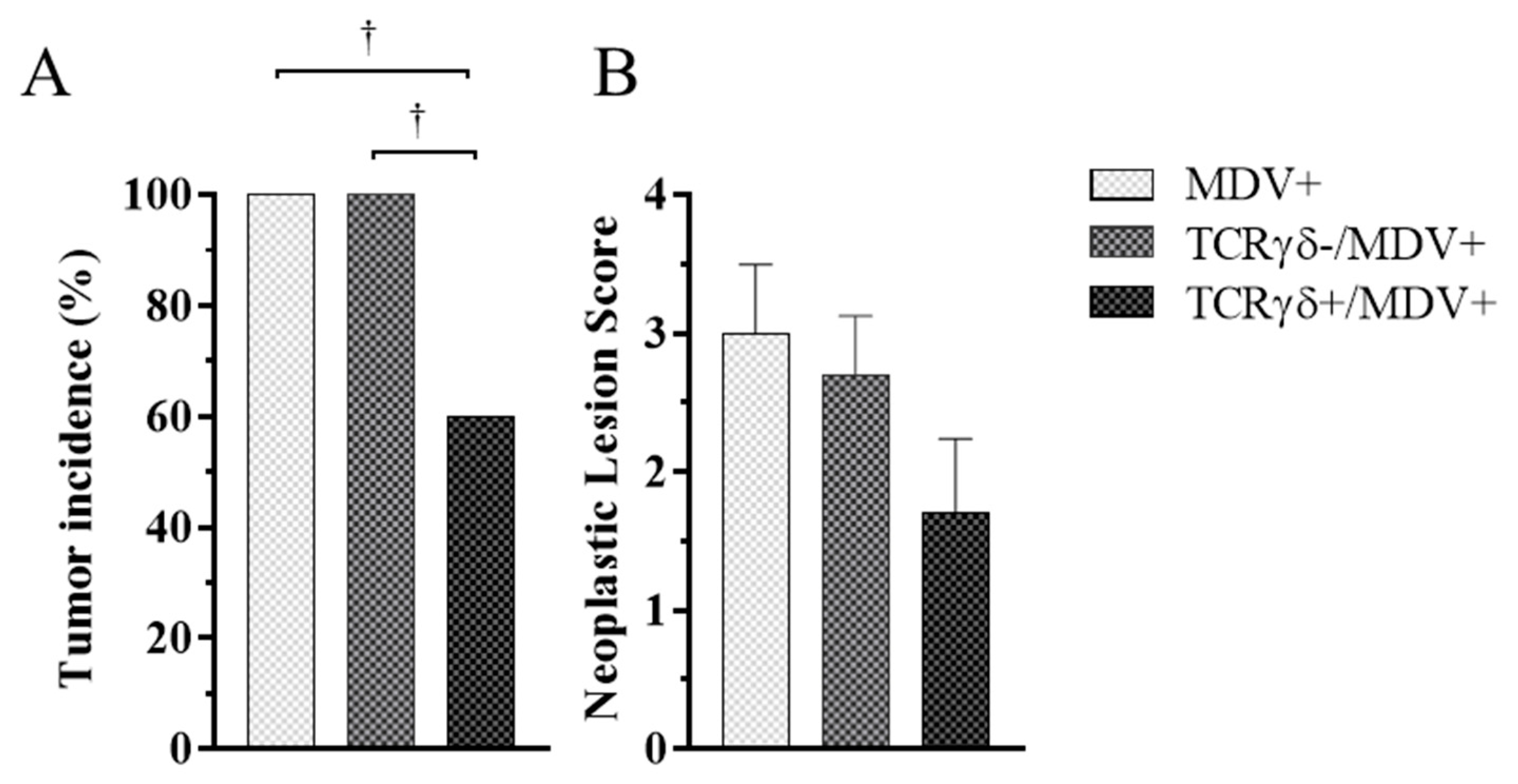 Viruses 15 00285 g003