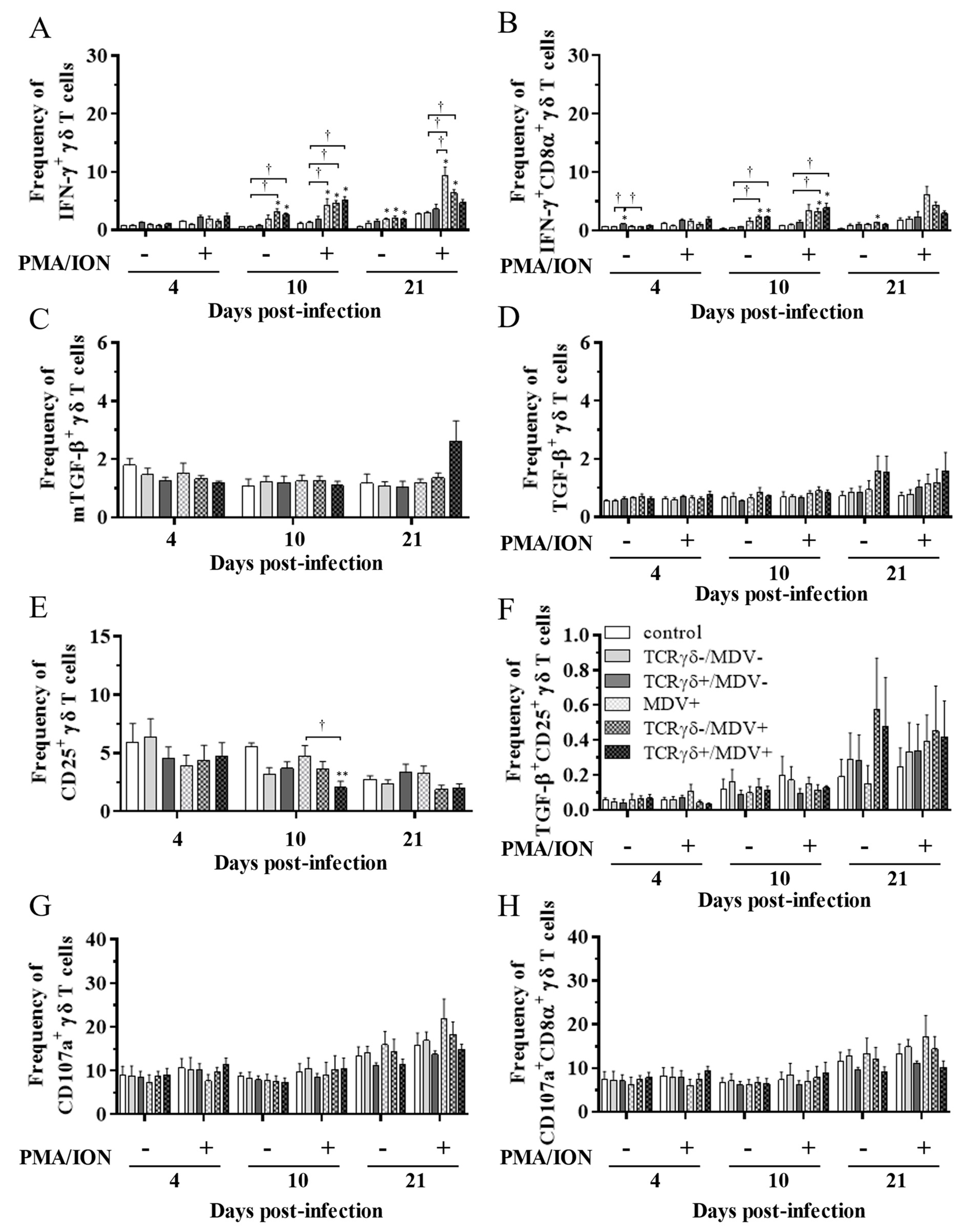 Viruses 15 00285 g007