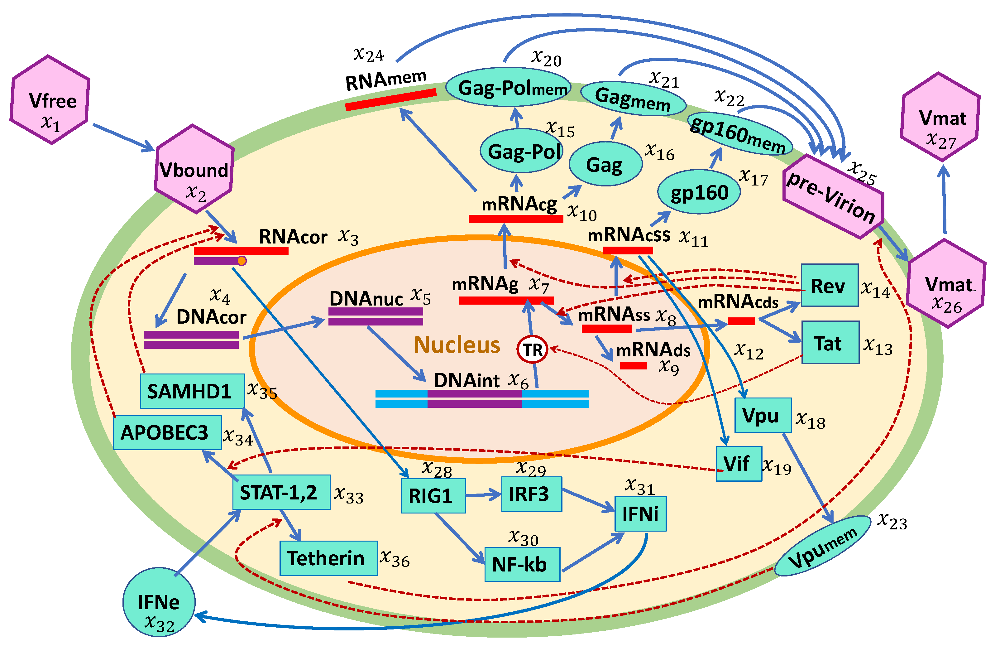 Viruses 15 00296 g001 Viruses 15 00296 g001