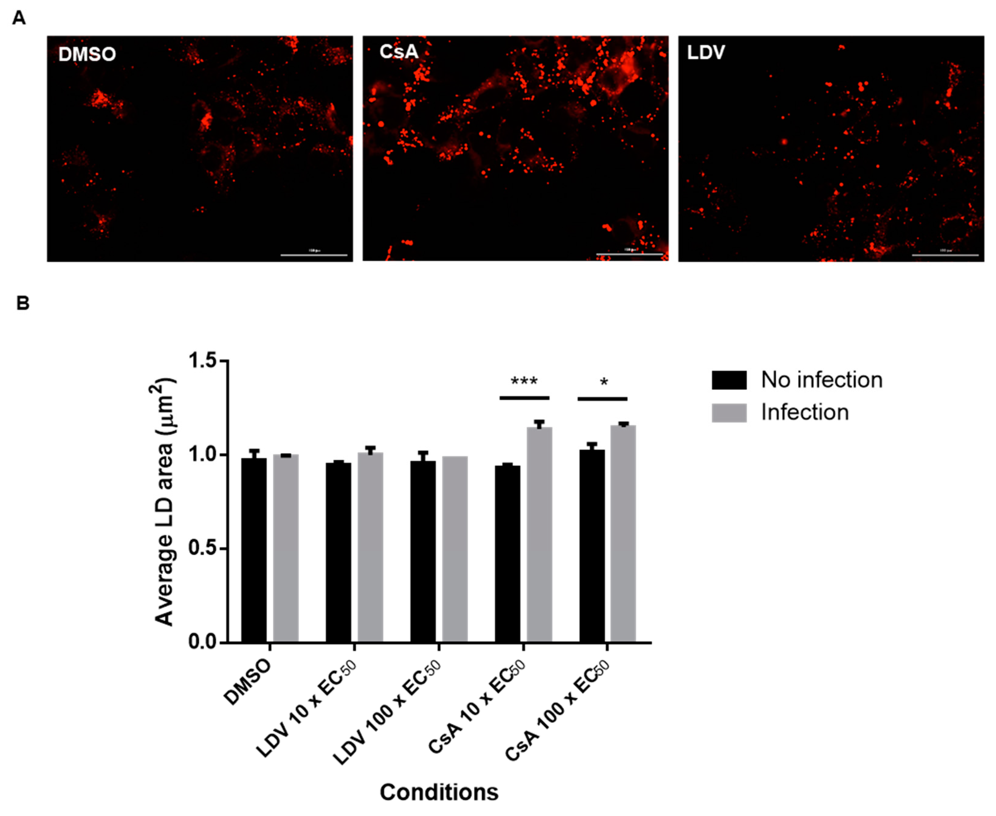 Viruses 15 00981 g004