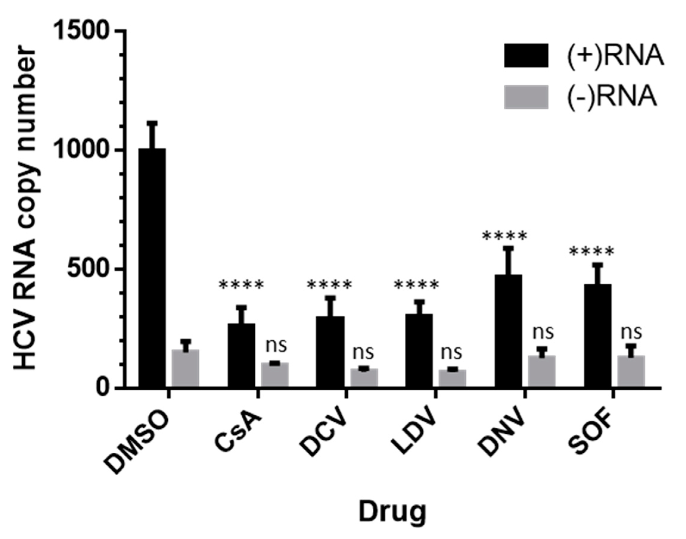 Viruses 15 00981 g006