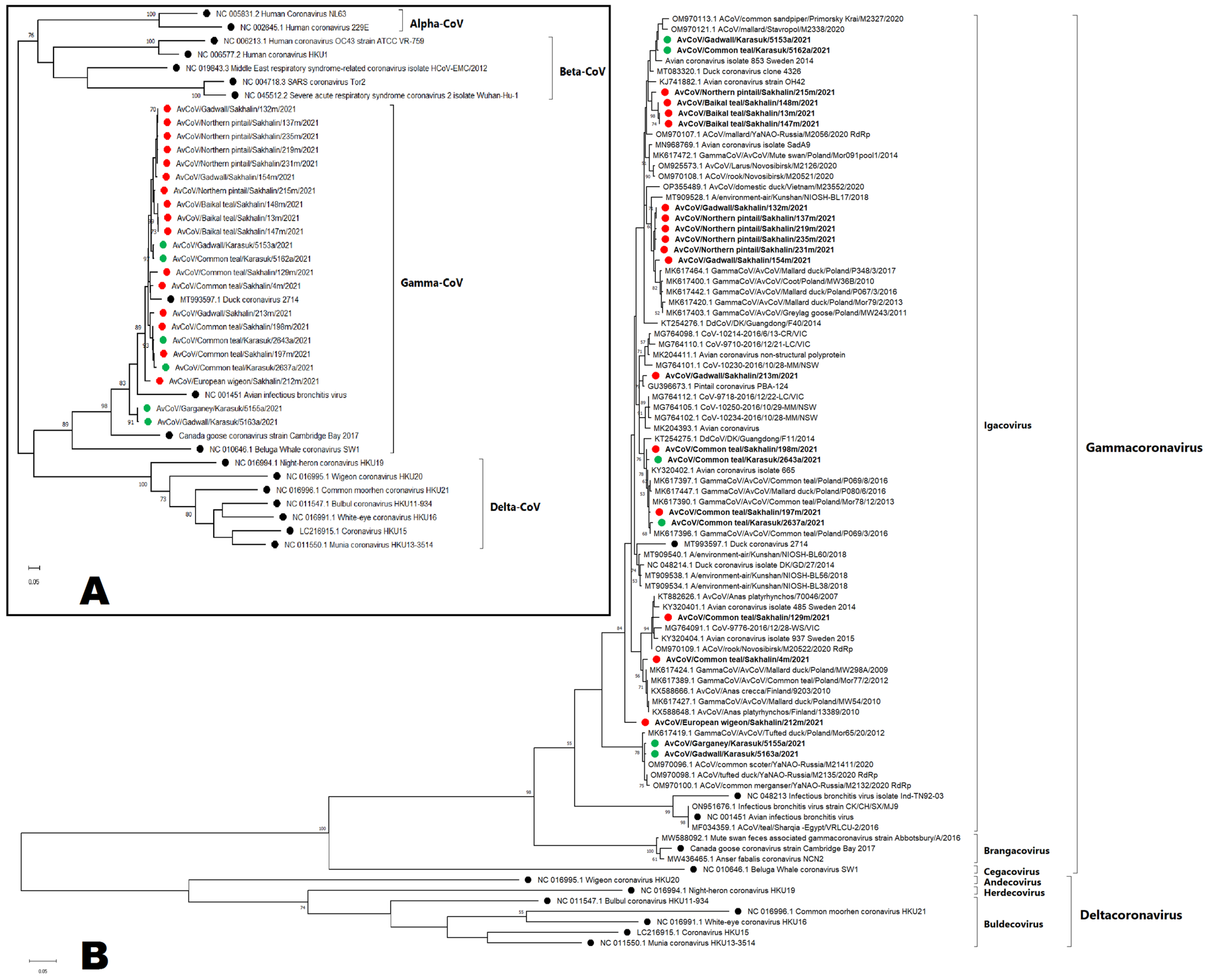 Viruses 15 01121 g003 Viruses 15 01121 g003
