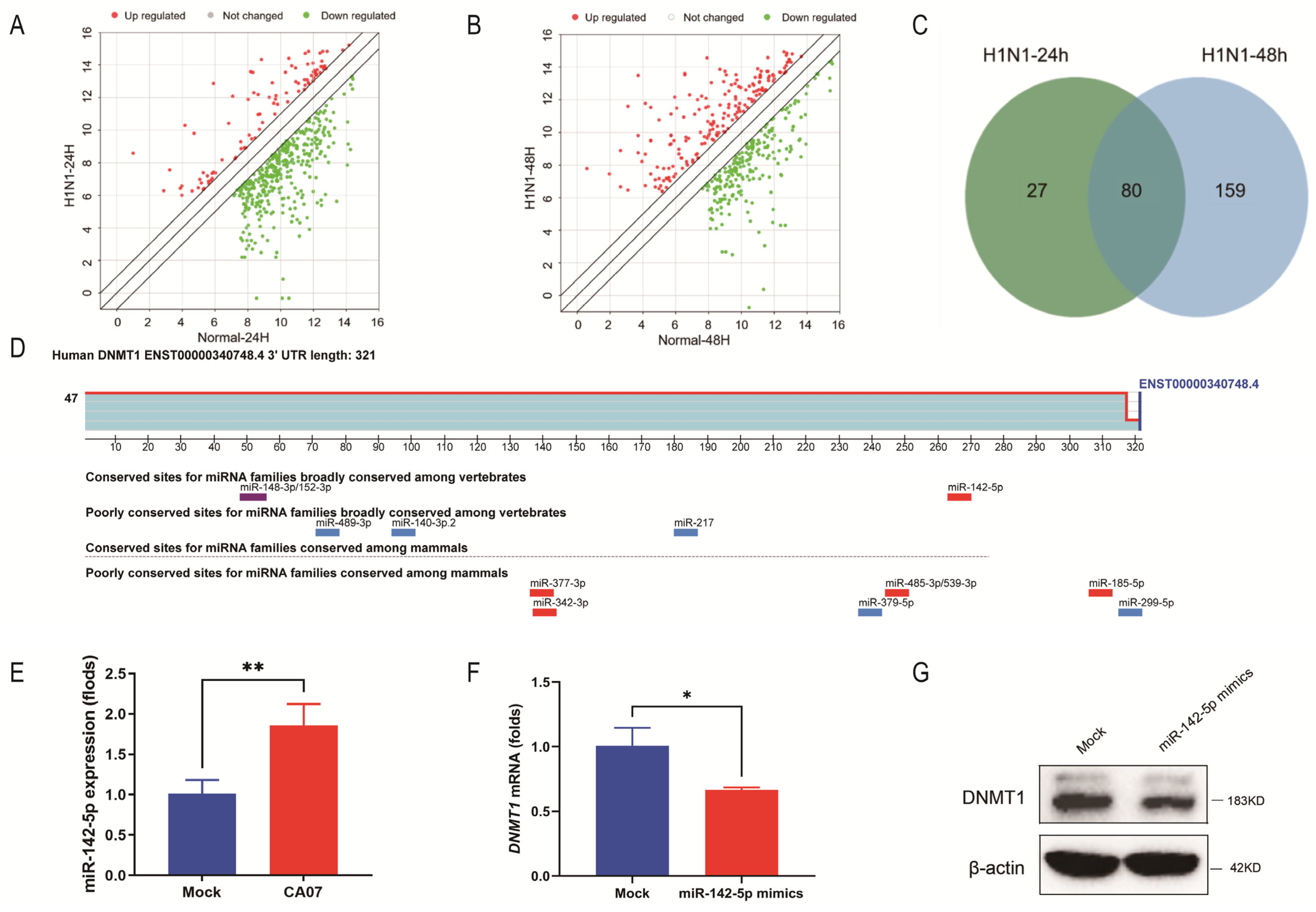 Viruses 15 01646 g002 Viruses 15 01646 g002