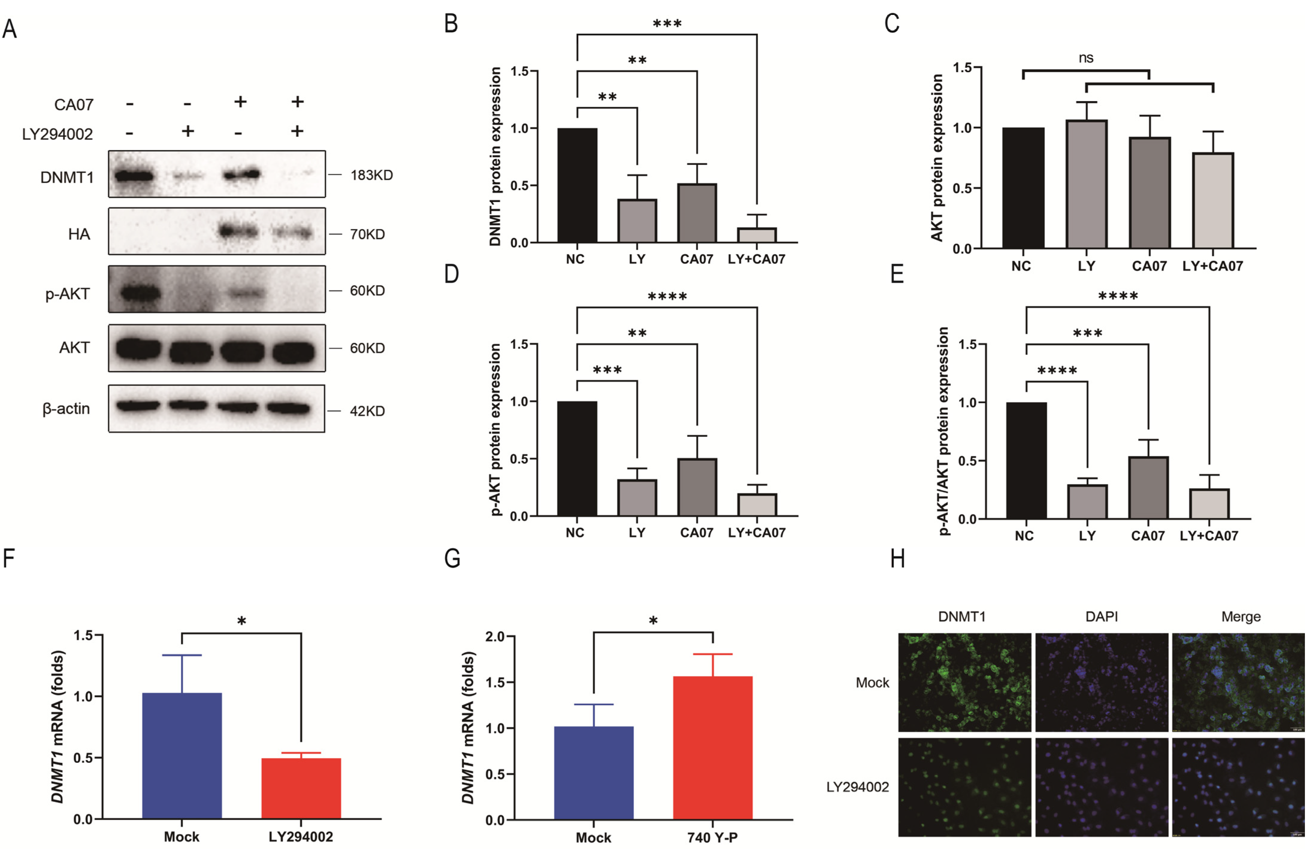 Viruses 15 01646 g003 Viruses 15 01646 g003