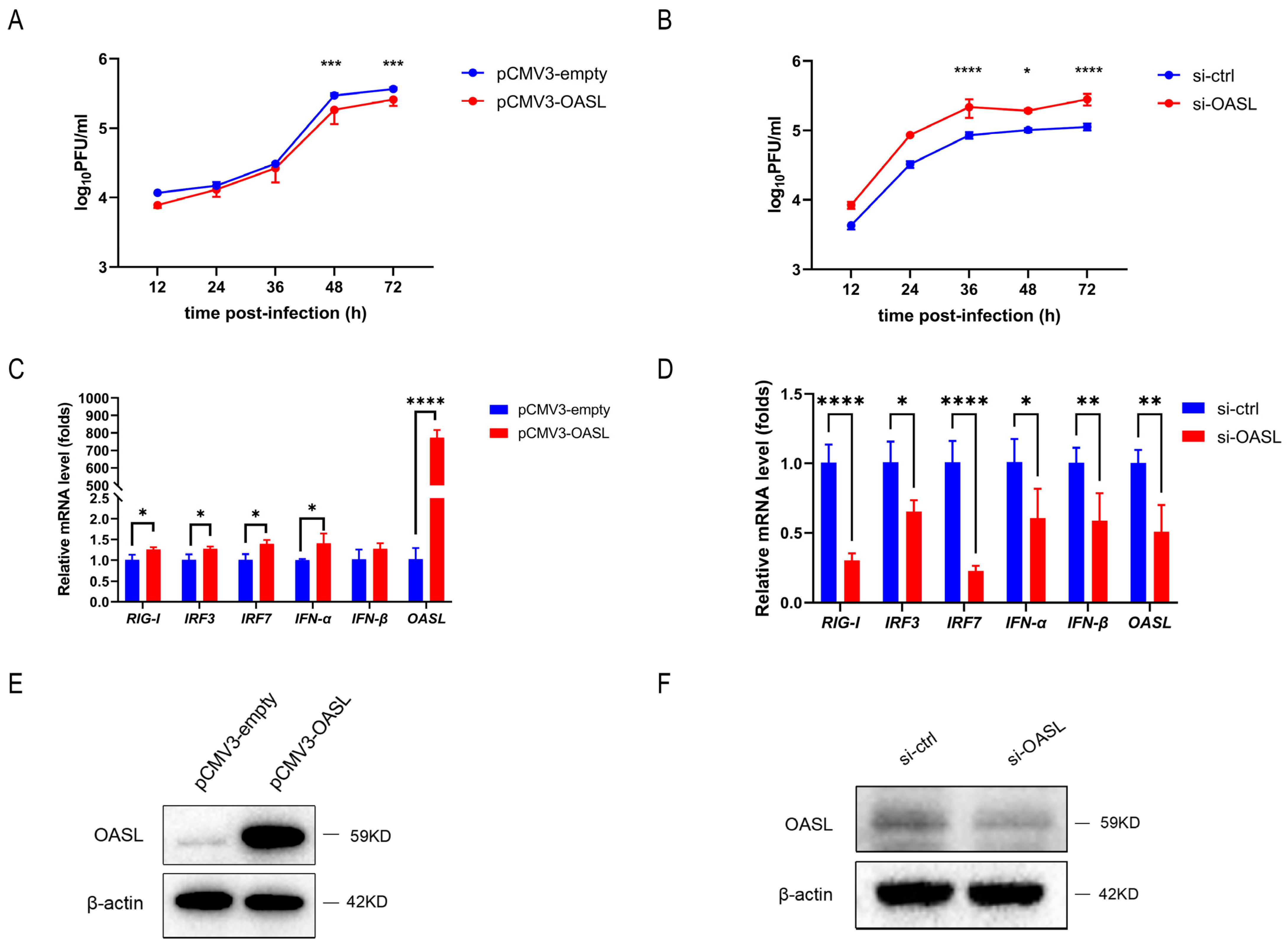 Viruses 15 01646 g006 Viruses 15 01646 g006