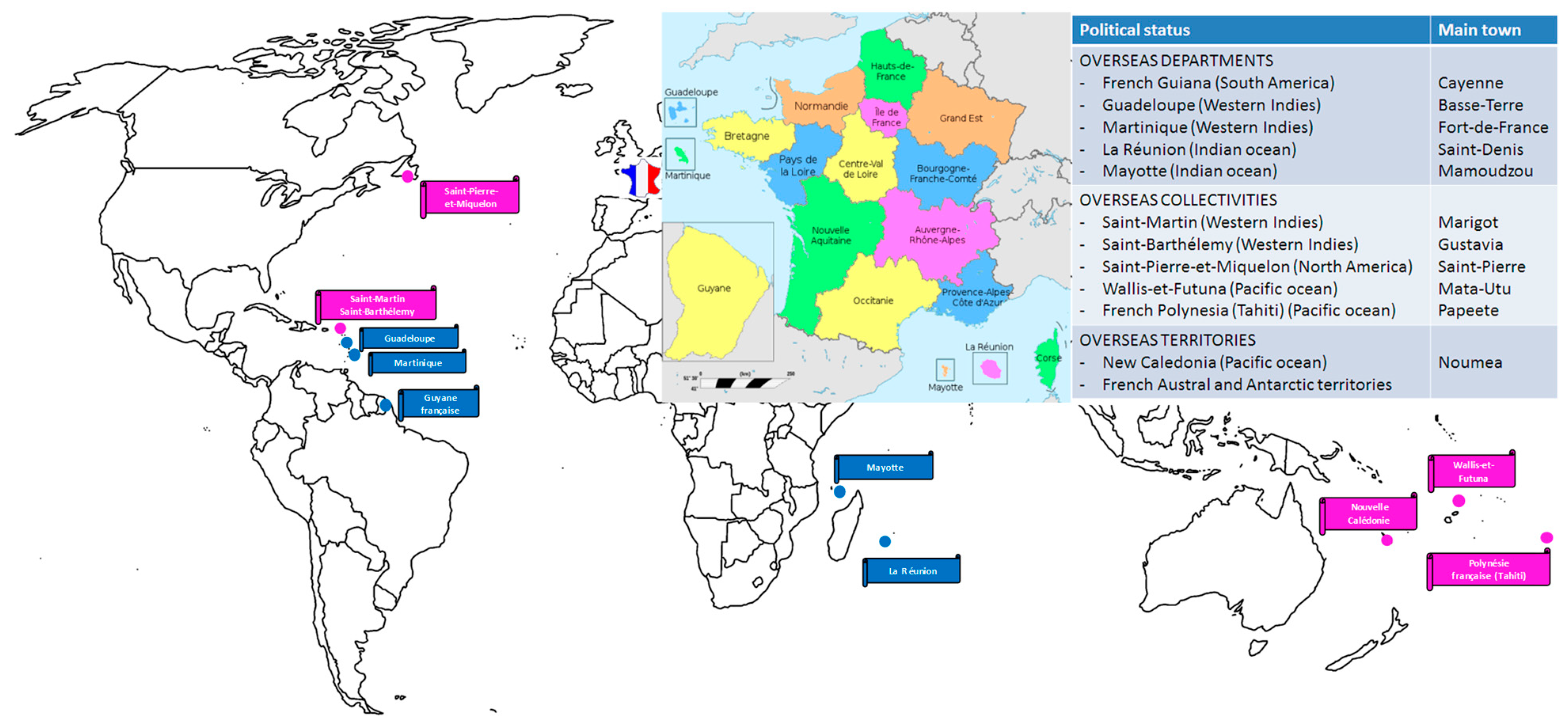 Viruses 15 01783 g001