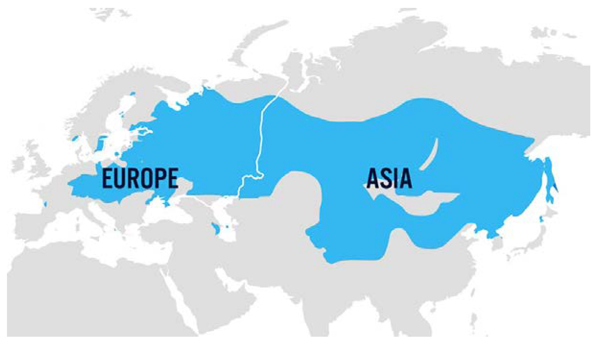 Viruses 15 01783 g004