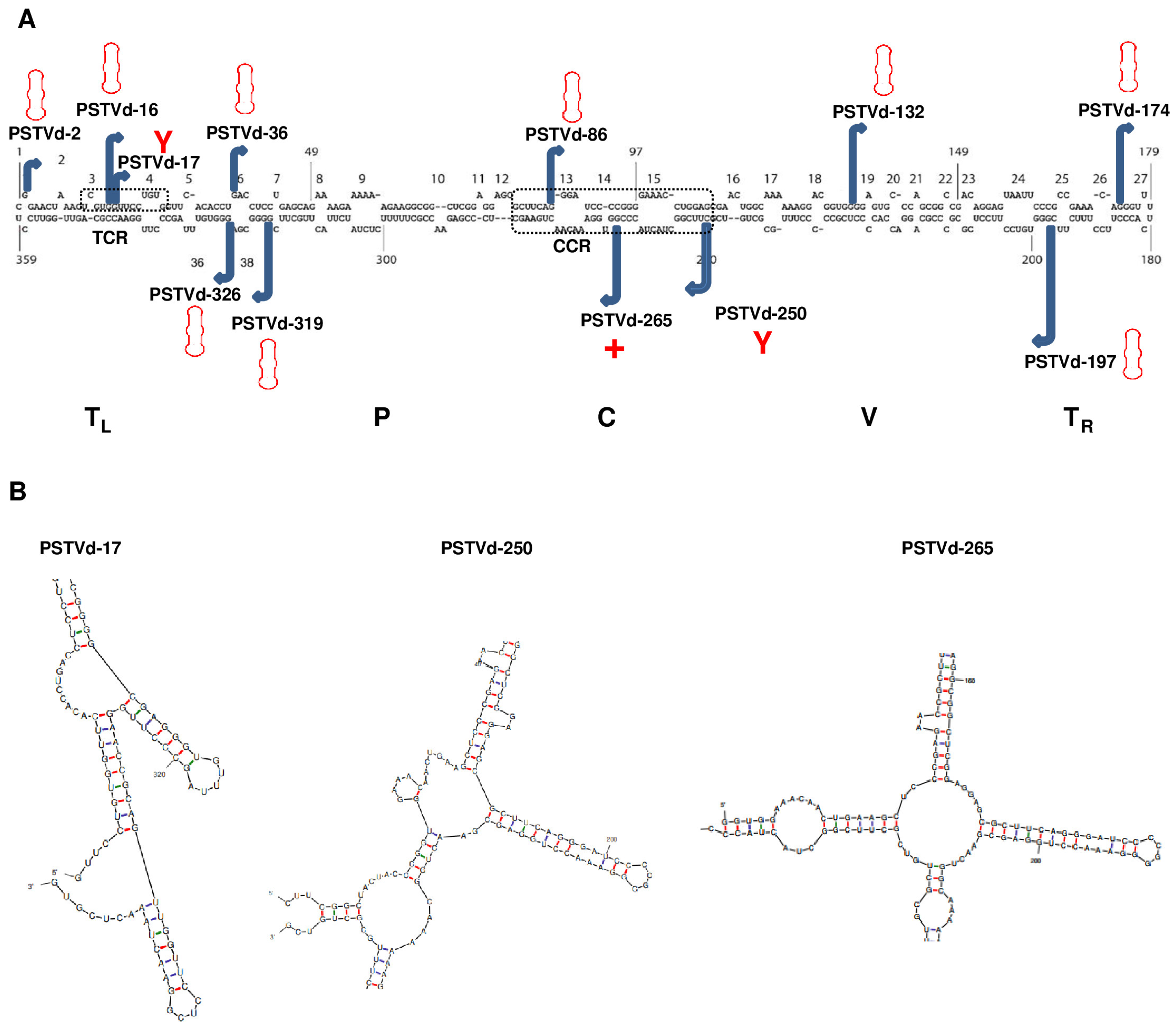 Viruses 15 02307 g001