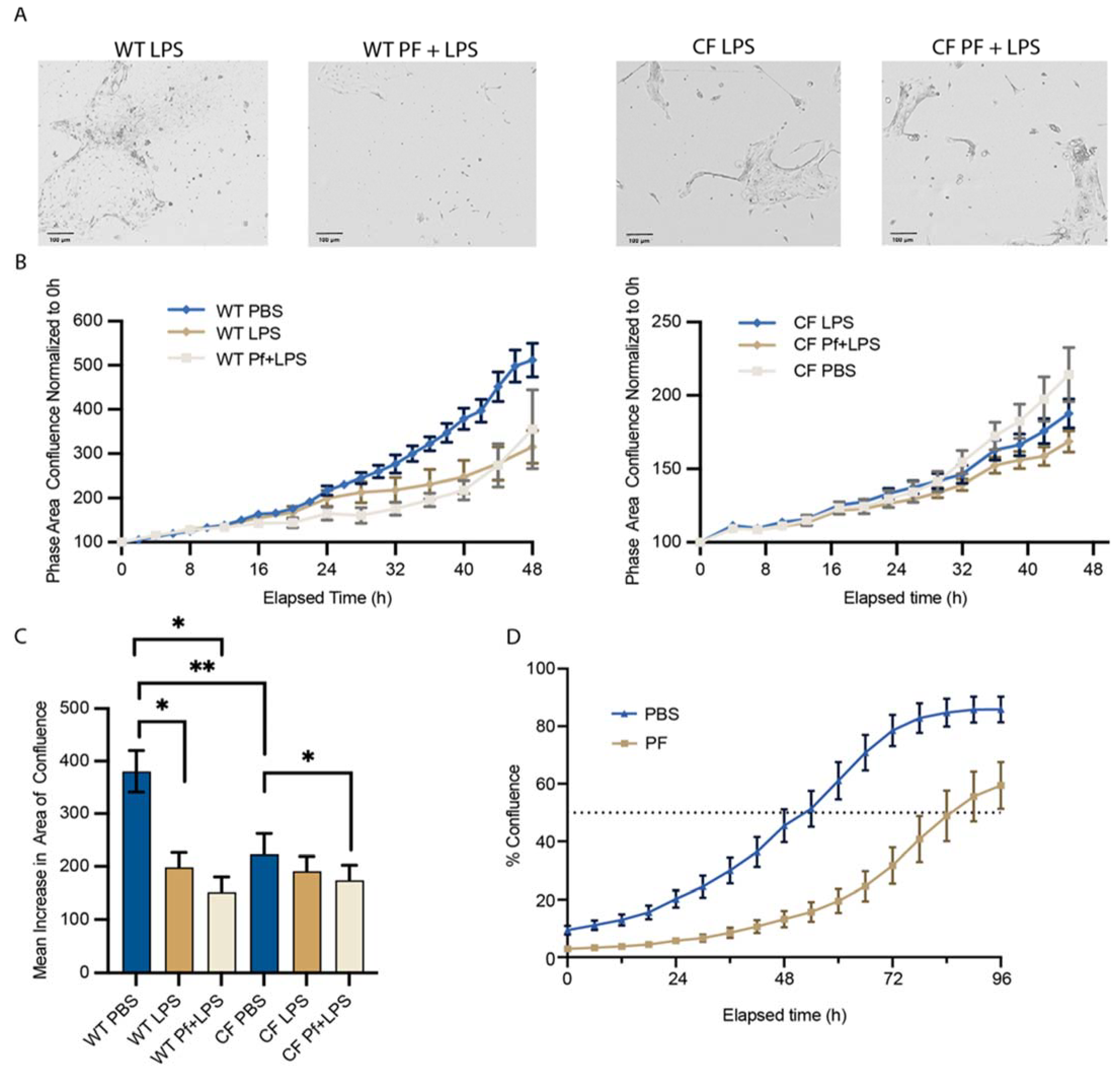 Viruses 16 00165 g007 Viruses 16 00165 g007