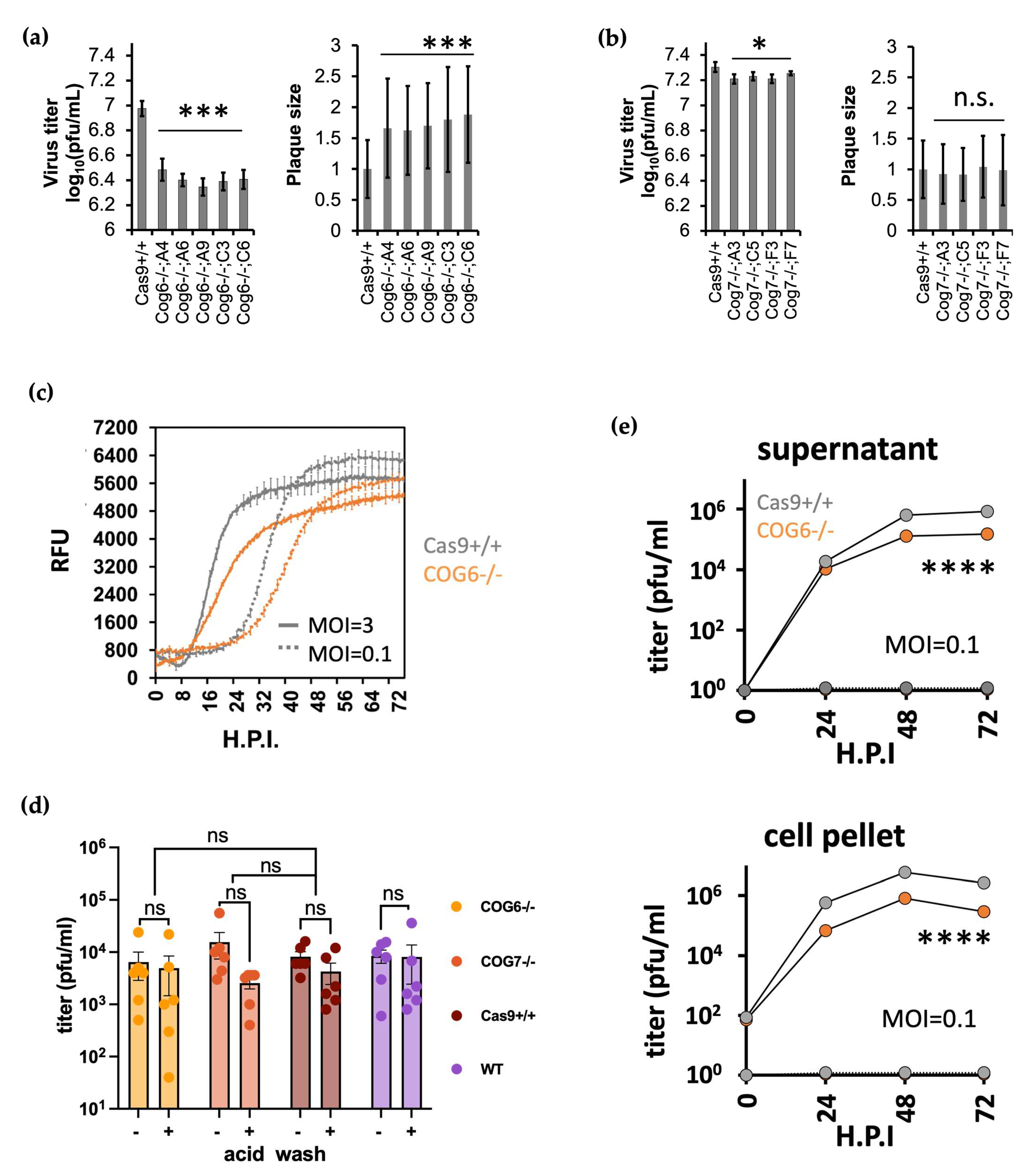 Viruses 16 00297 g004