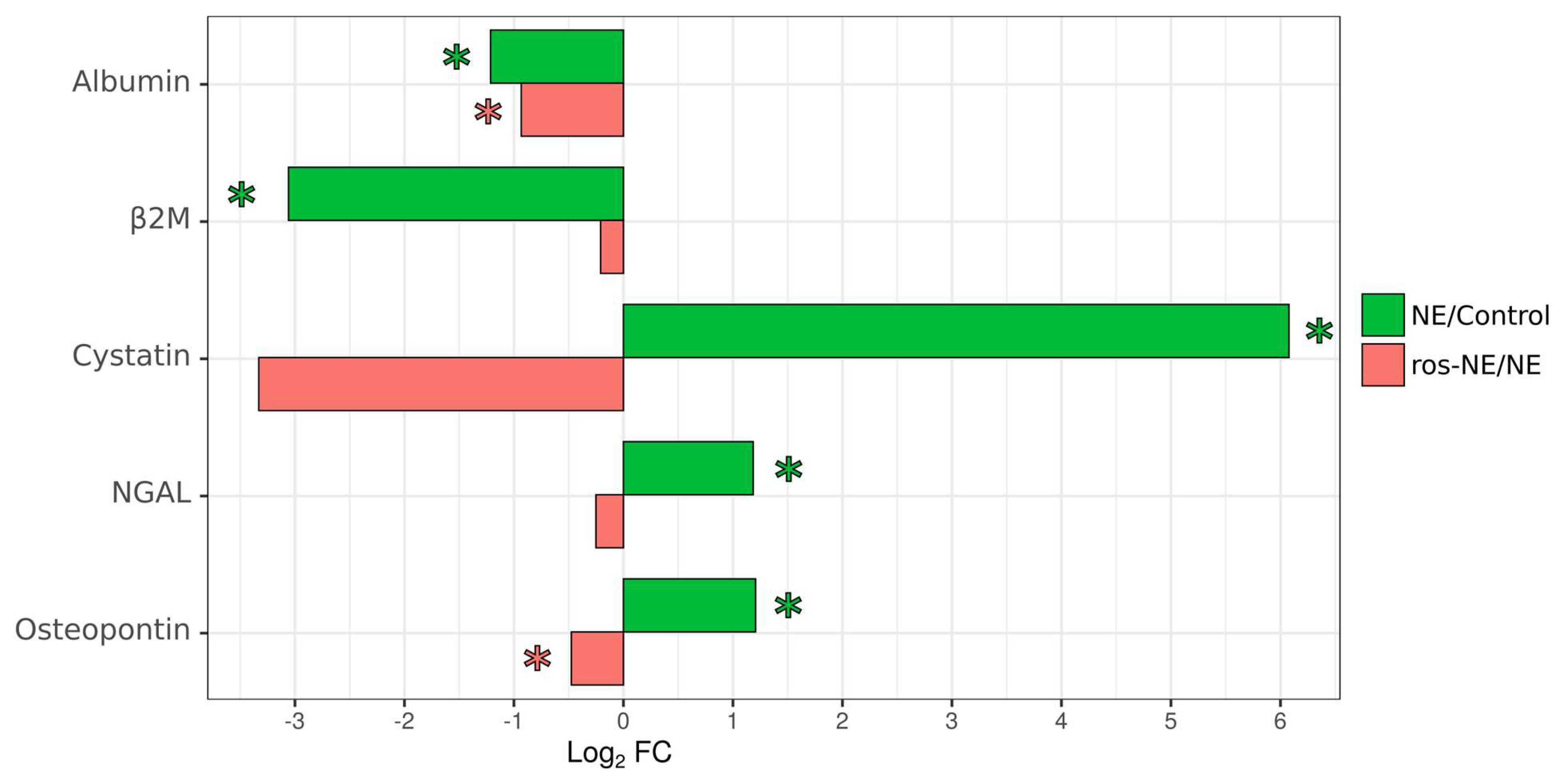 Viruses 16 00306 g001