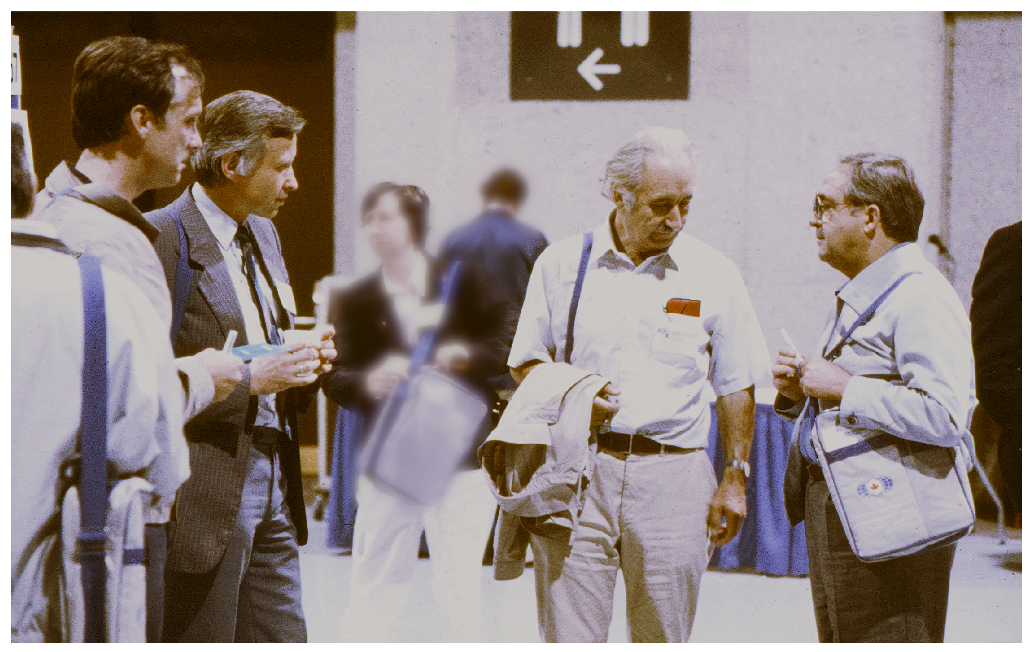 Viruses 16 00360 g002