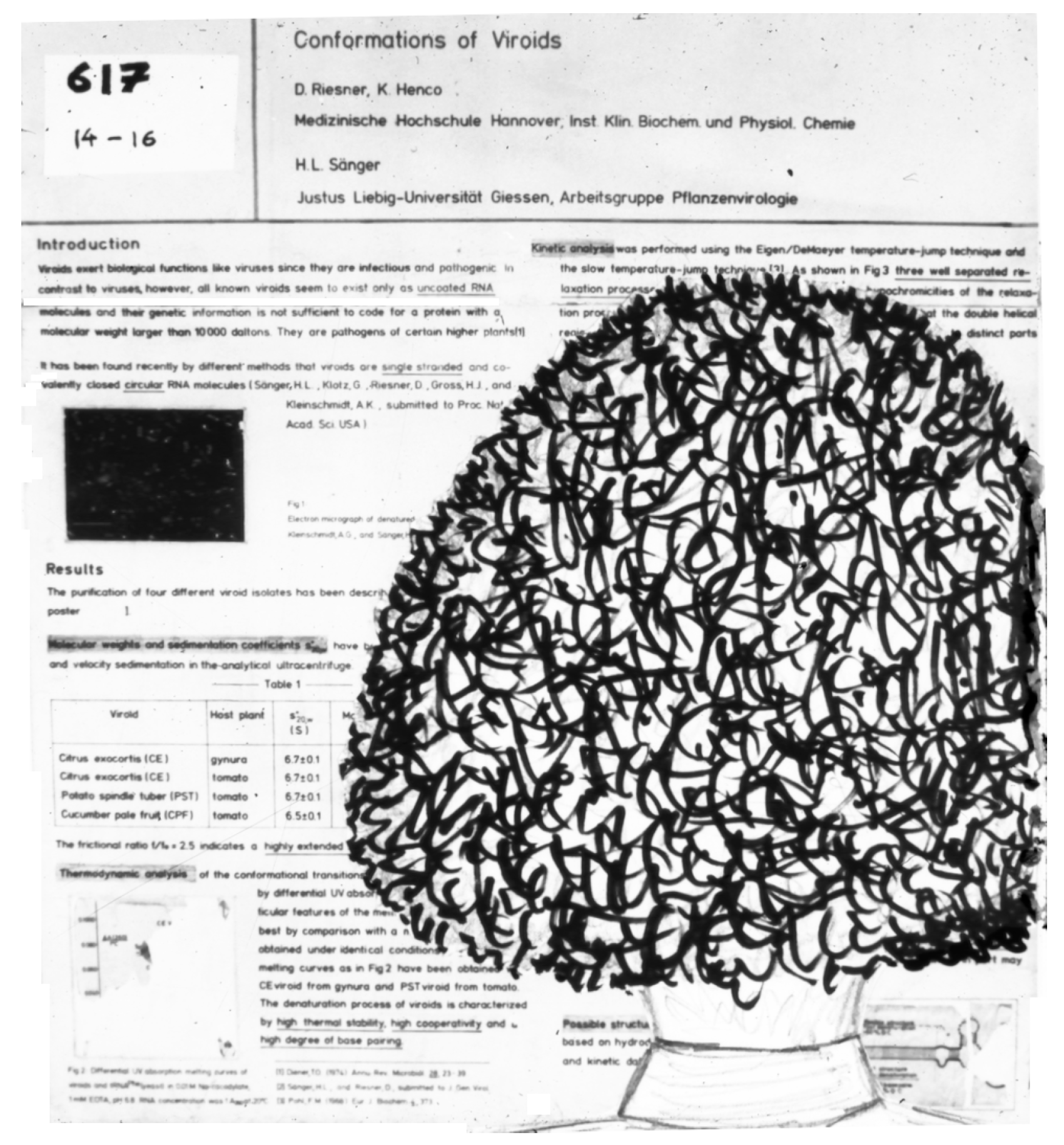 Viruses 16 00360 g003