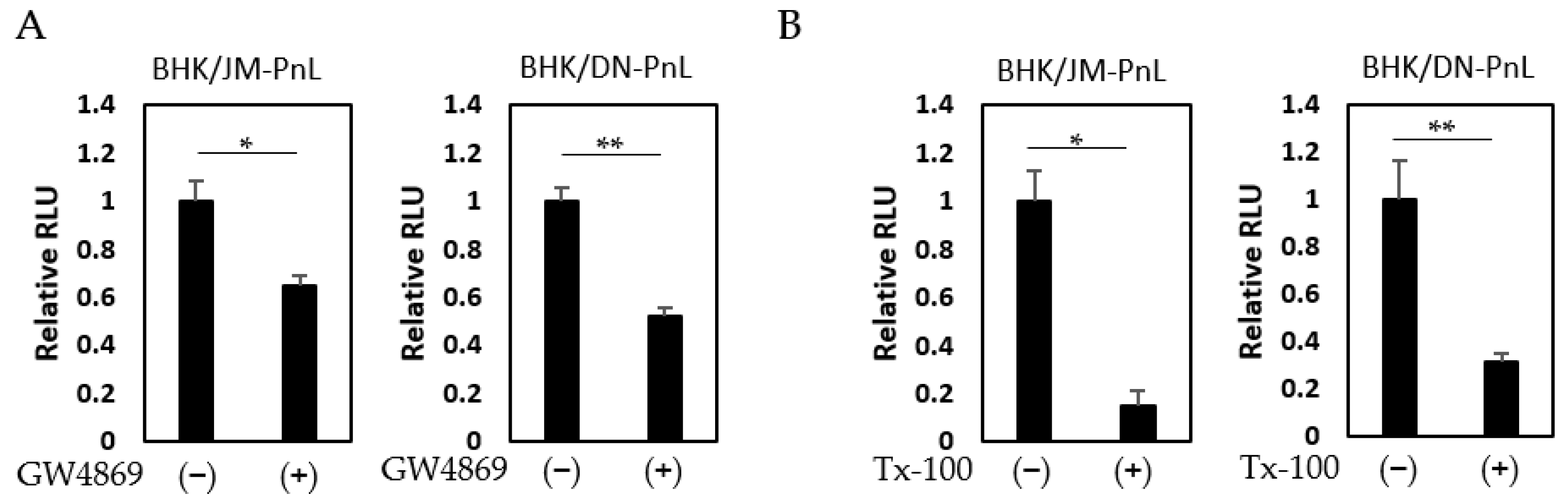 Viruses 16 00524 g005
