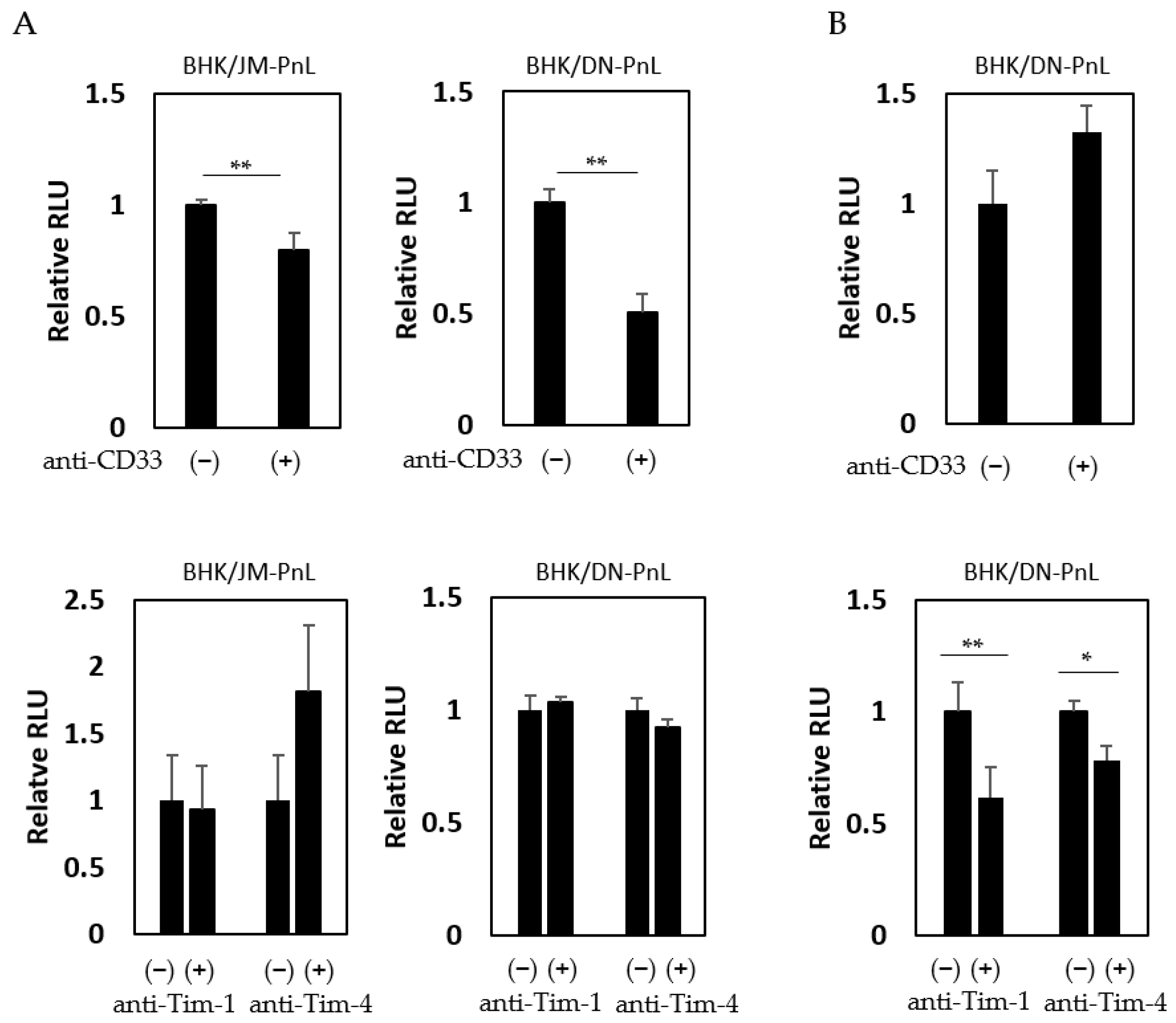 Viruses 16 00524 g006