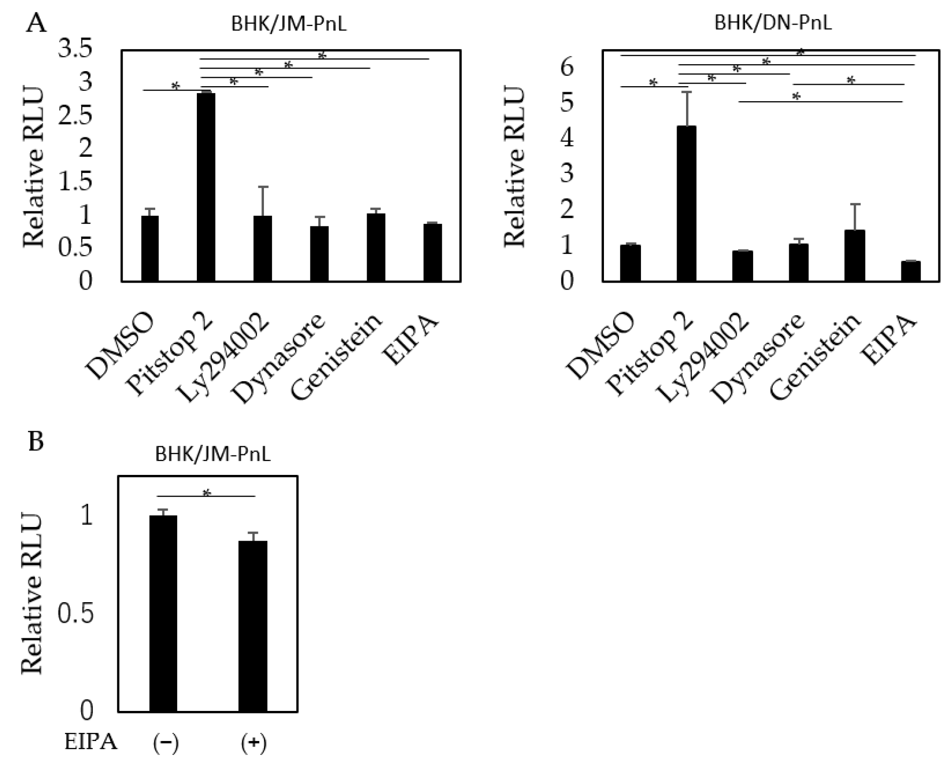 Viruses 16 00524 g007