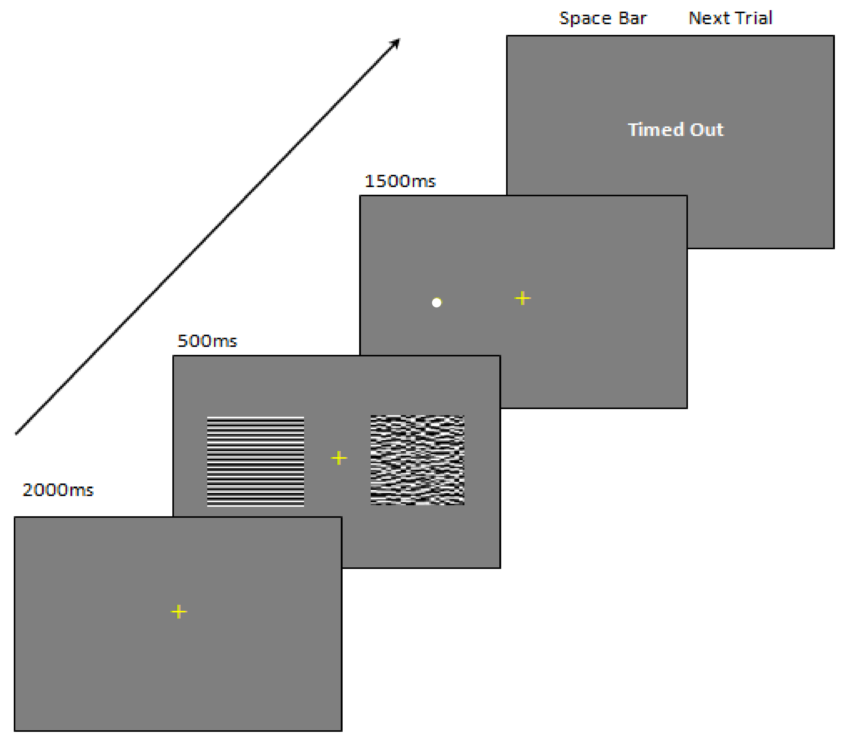 Vision 06 00001 g002