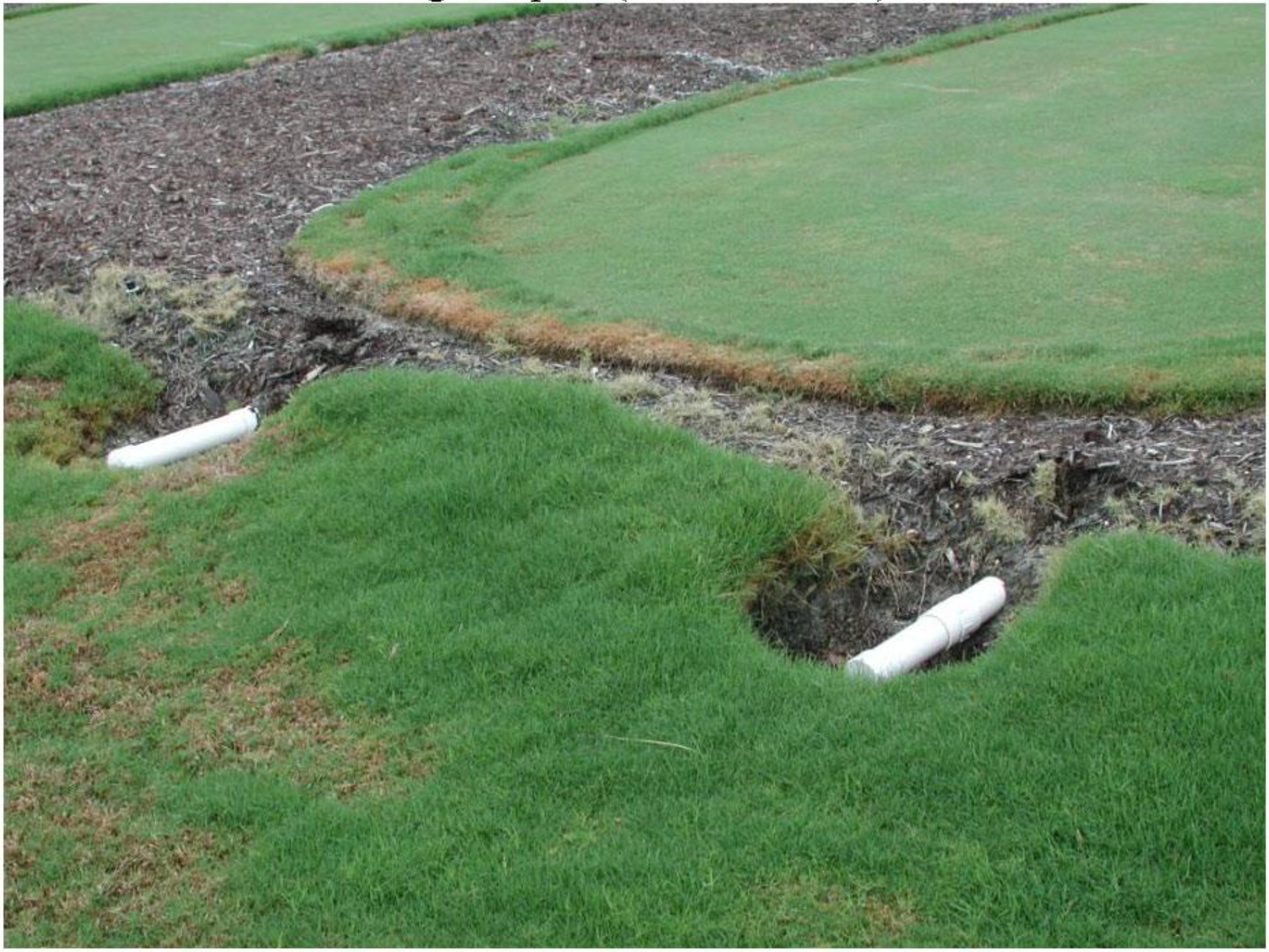 turfgrass irrigation
