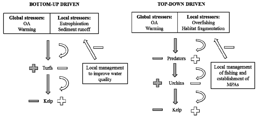 Water 05 01653 g001 1024