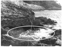 Water 06 00584 g001 200