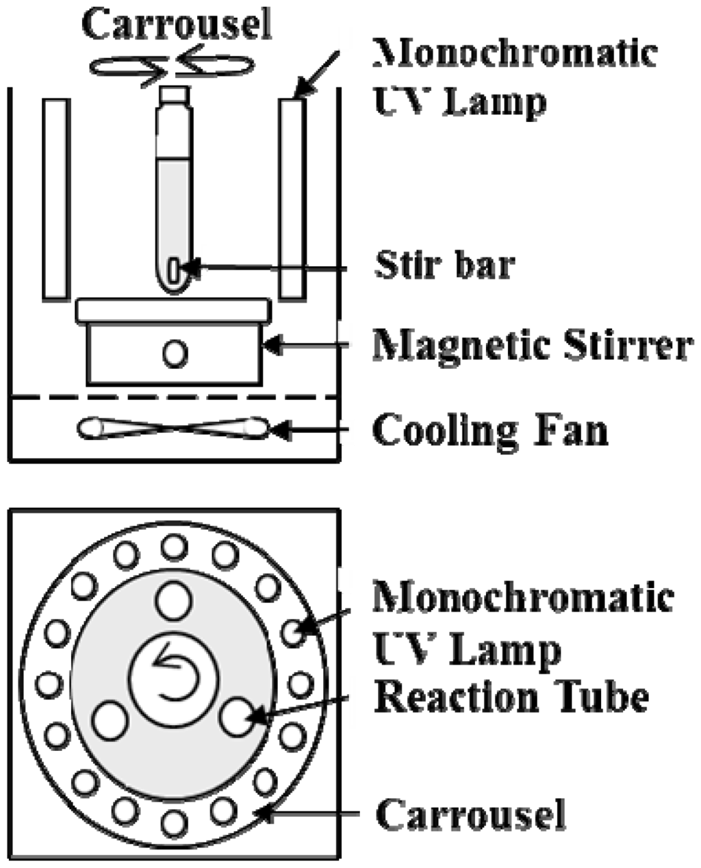 Biodegradation of plastics thesis writing