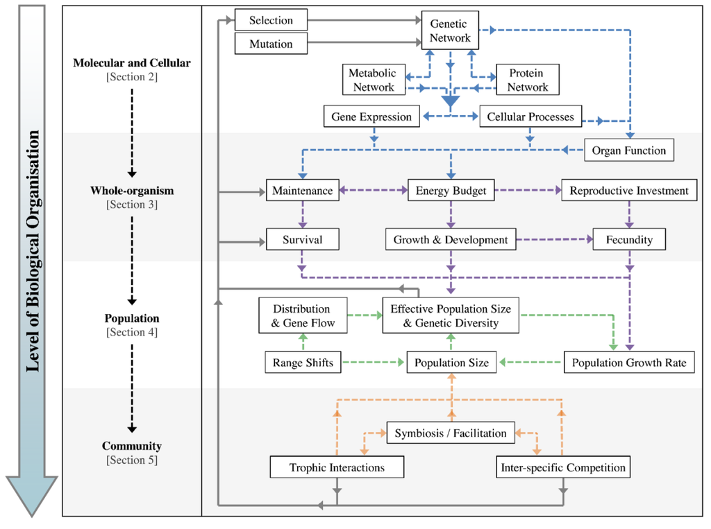 Define evolving thesis