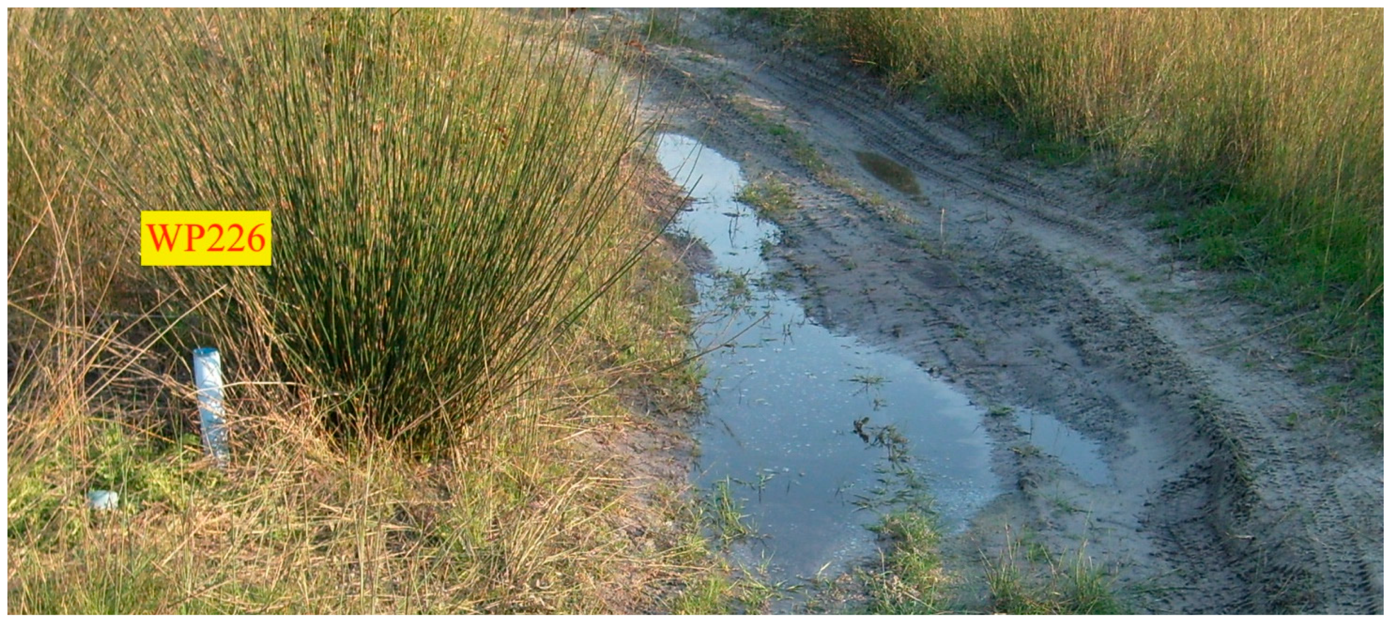 sulfur and water