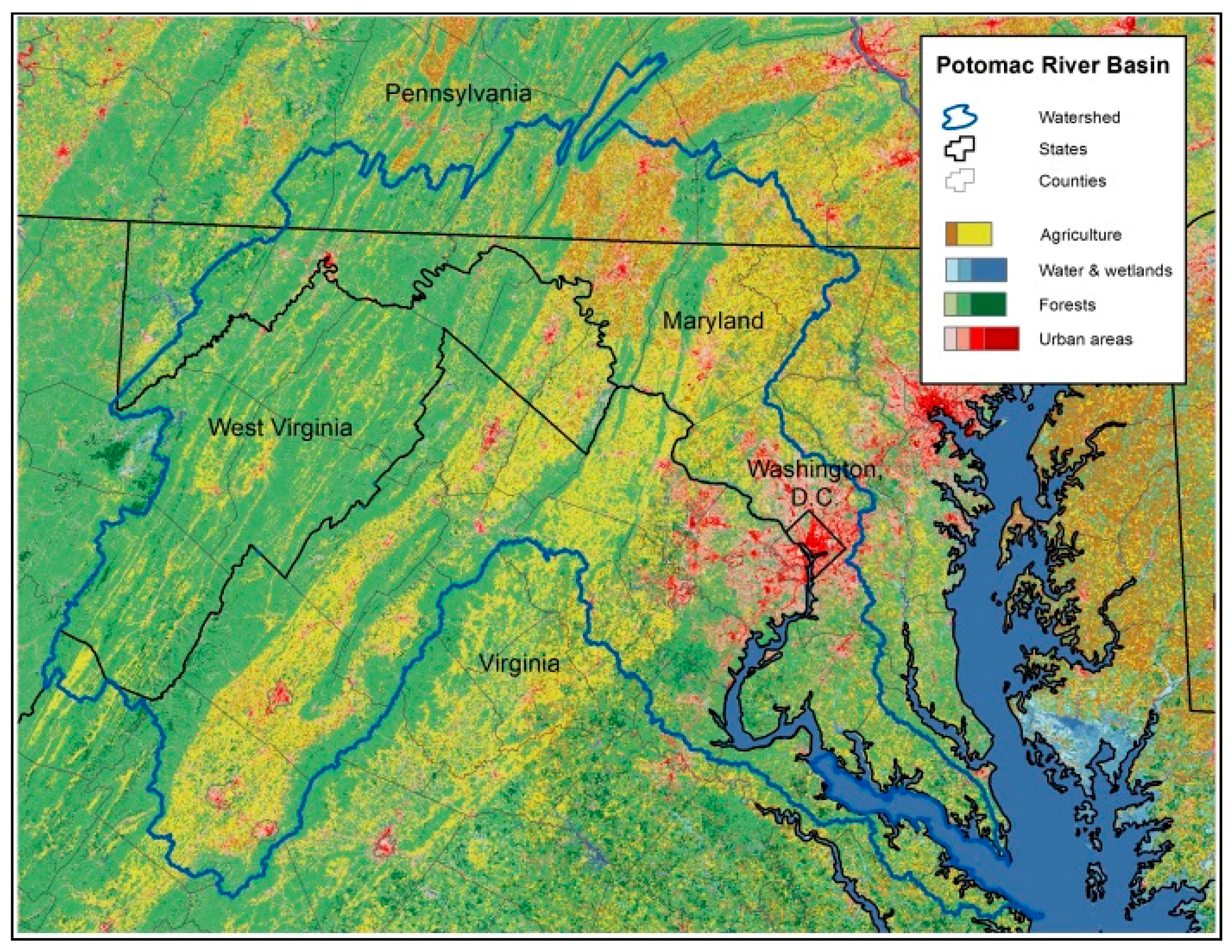 What are the effects of sediment buildup in a river basin?