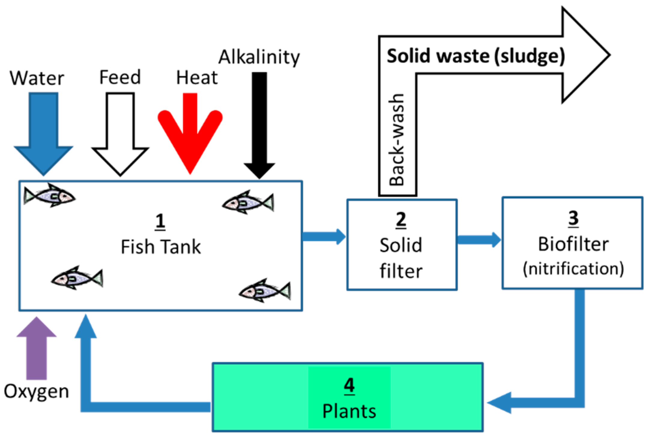 Water | Free Full-Text | Nutrients and Energy Balance ...