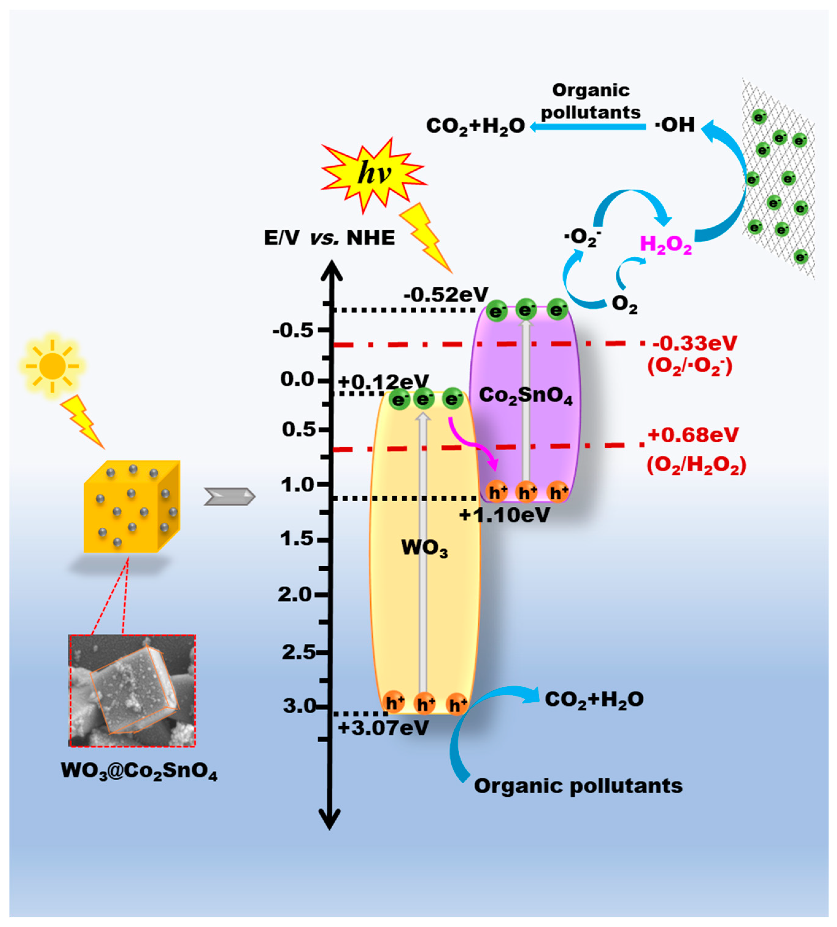 Water 16 00406 sch002