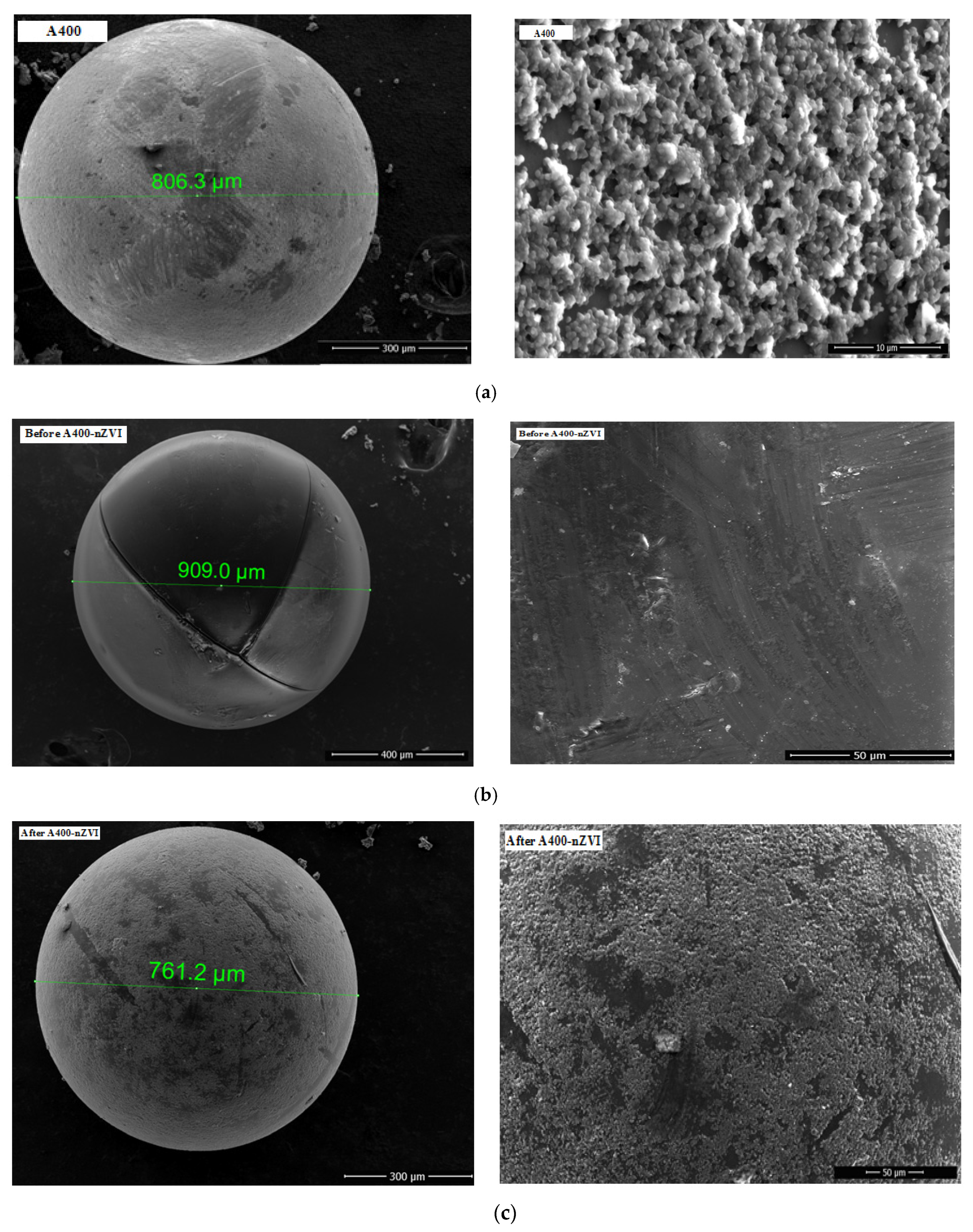 Water 16 00783 g003a