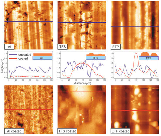 Polyaleuritate coatings for food metal packaging analyzed with BudgetSensors® SiNi AFM probes - news