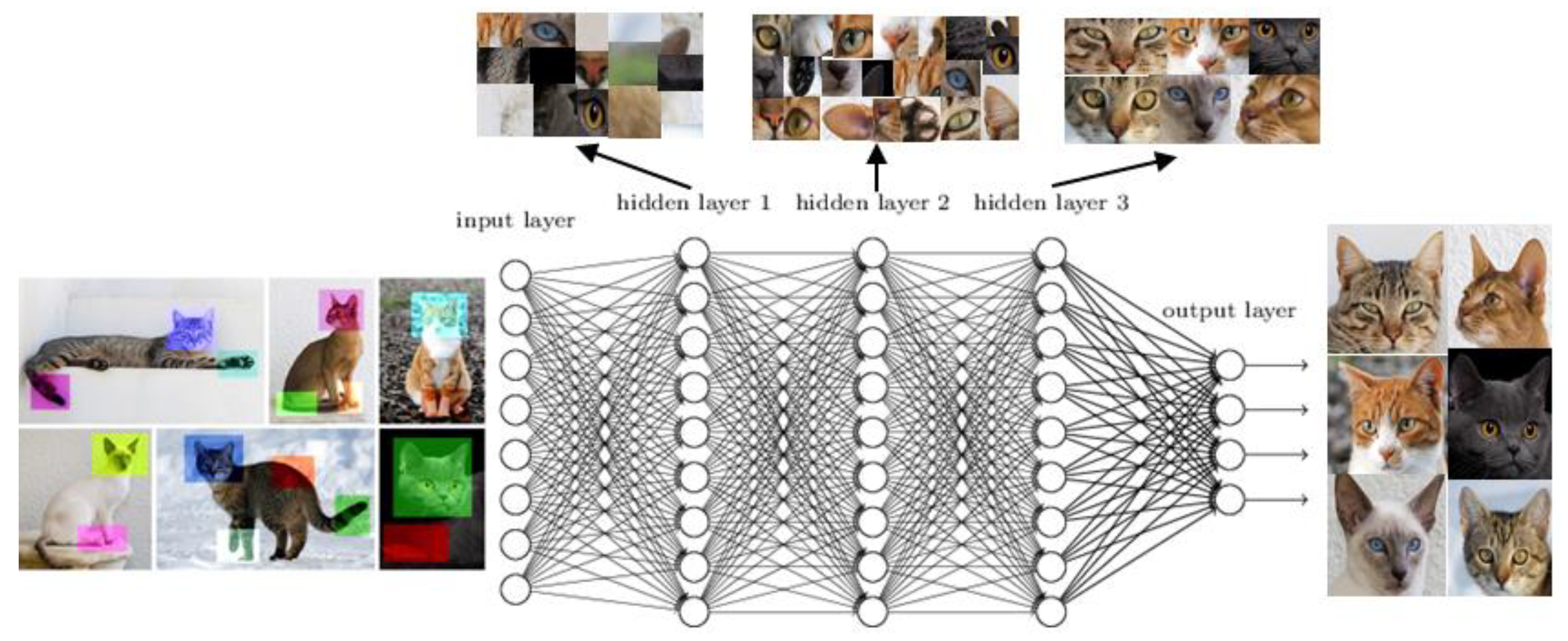 Bdcc 02 00016 g002 550