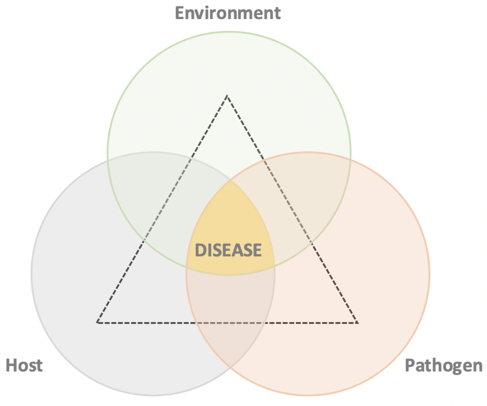 Bdcc 05 00002 g001 Bdcc 05 00002 g001