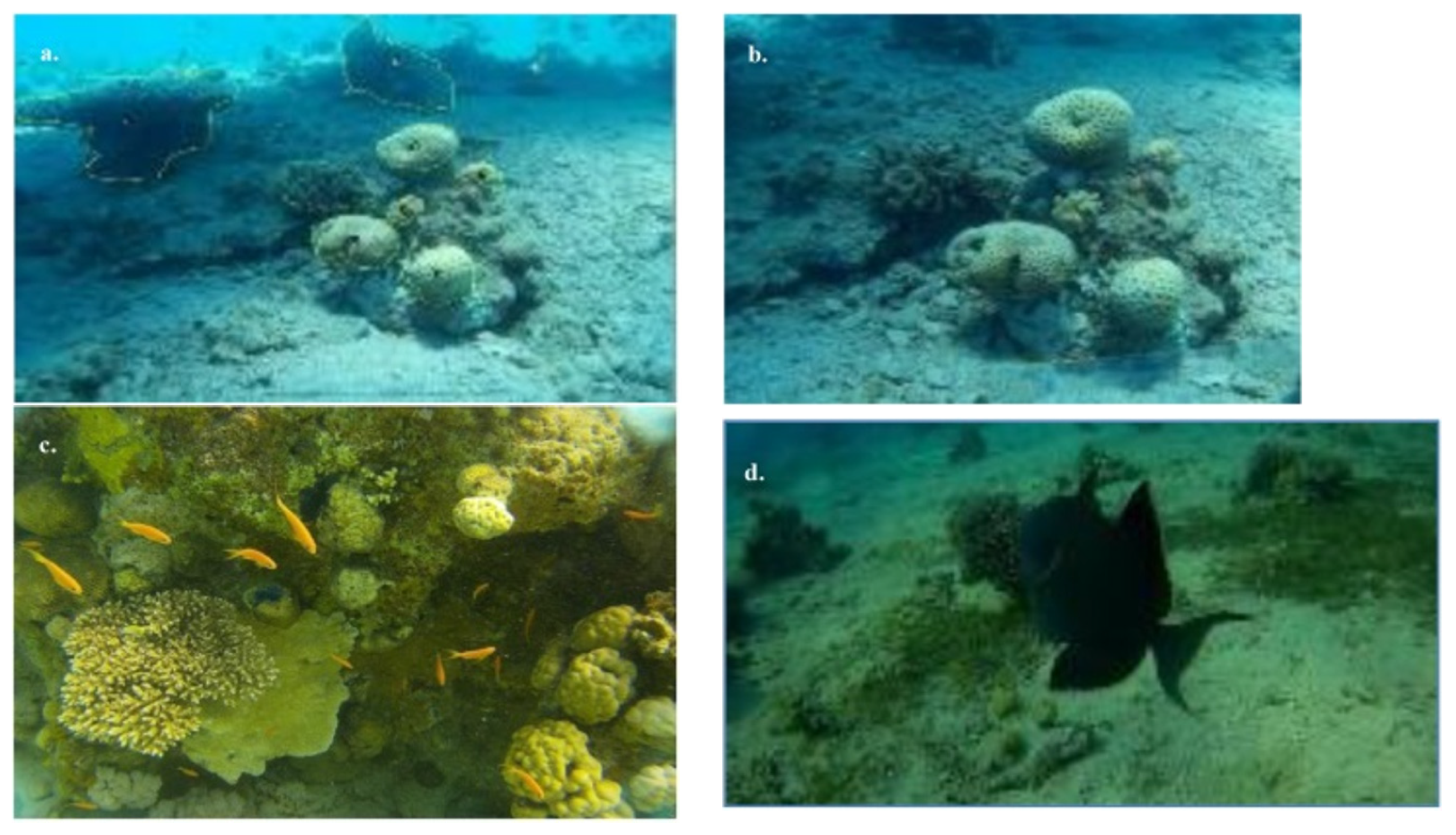 Bdcc 05 00019 g002 Bdcc 05 00019 g002