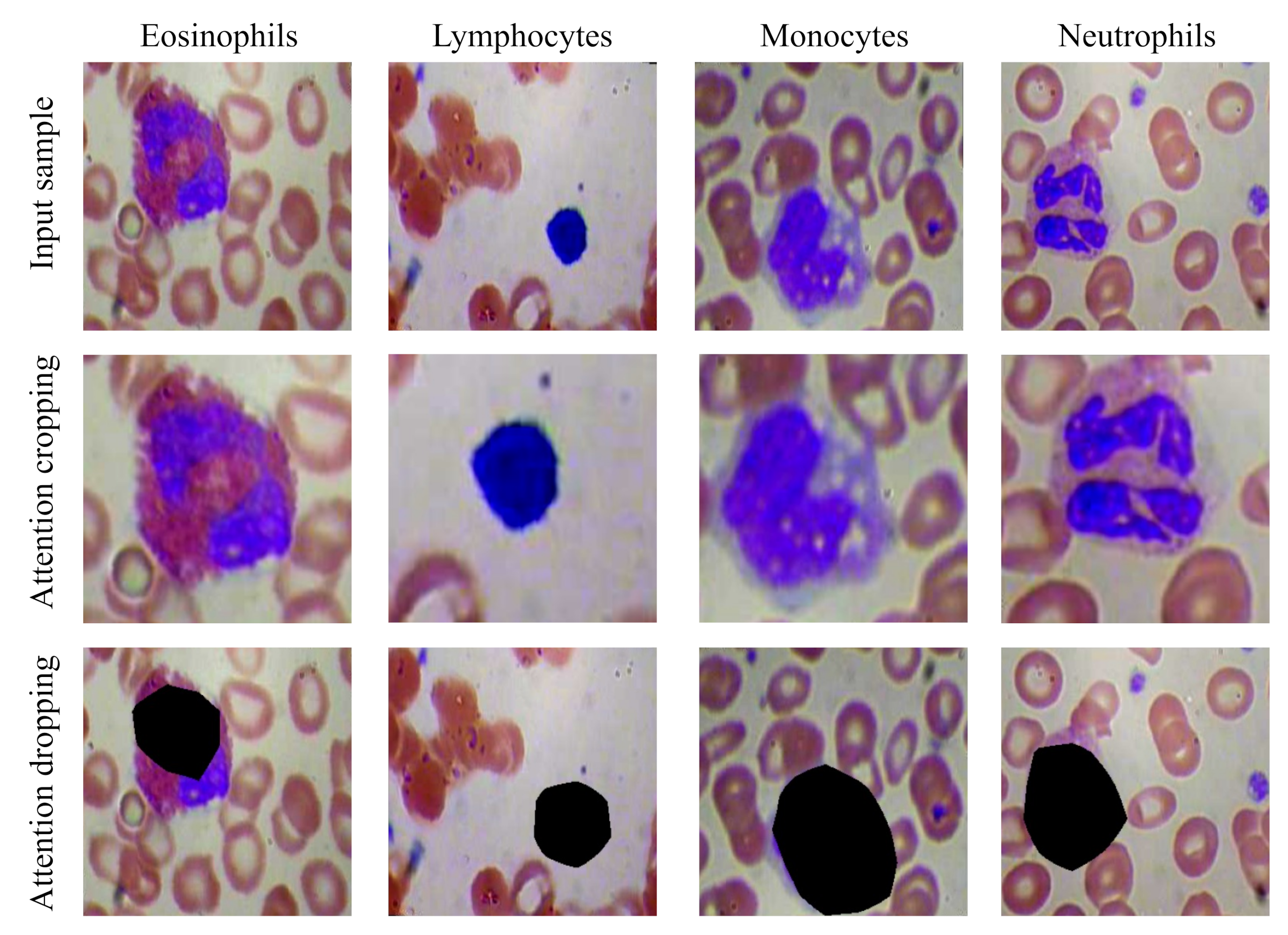 Bdcc 06 00122 g005 Bdcc 06 00122 g005