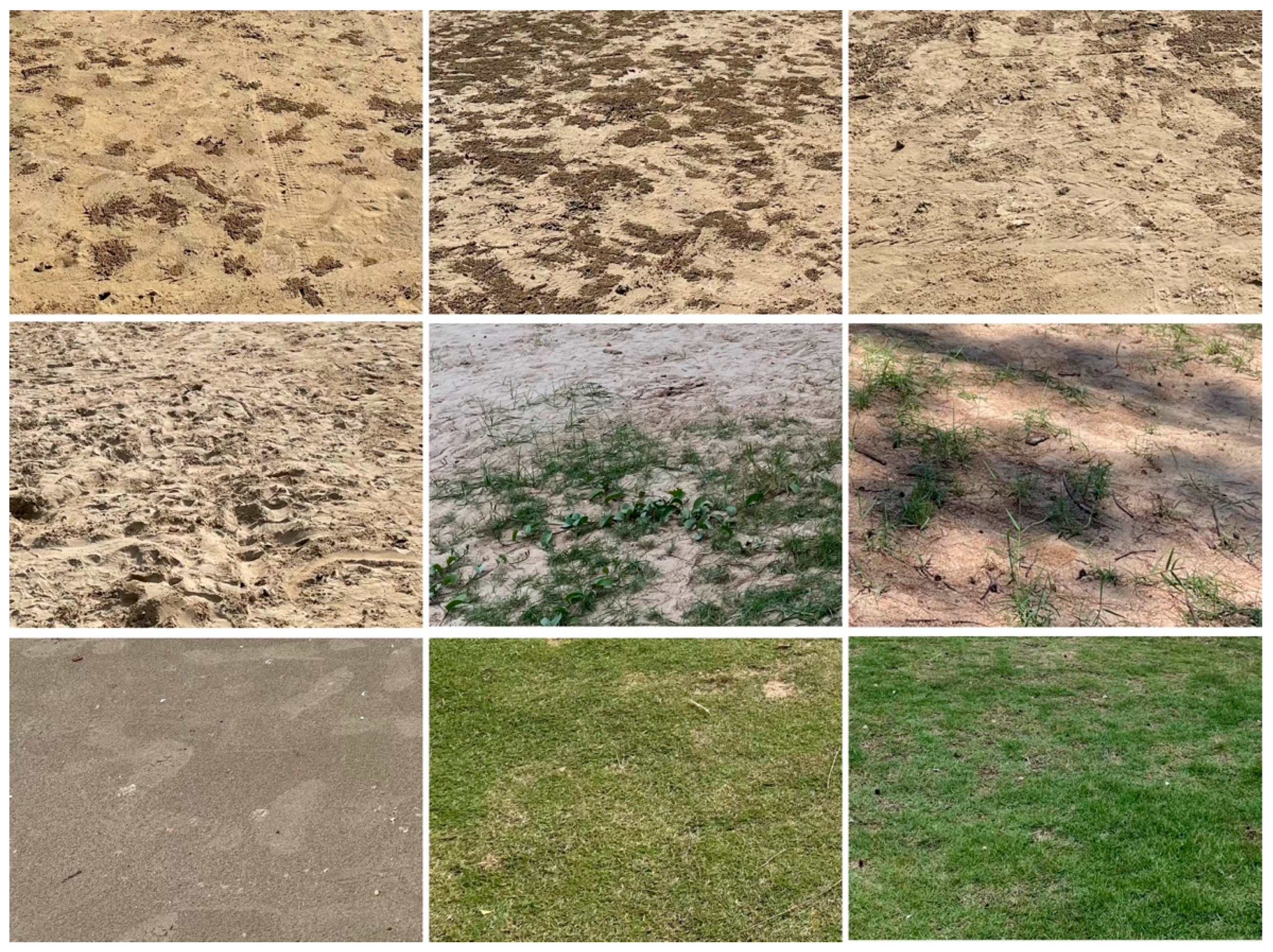 Bdcc 07 00103 g008 Bdcc 07 00103 g008