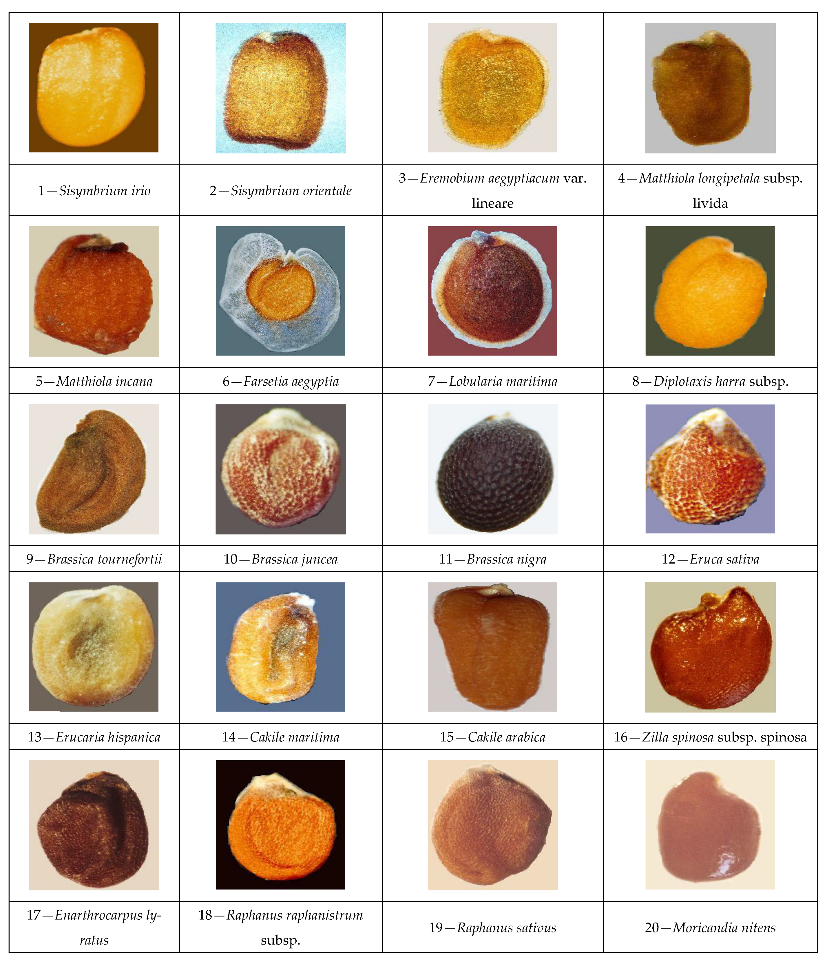 Bdcc 07 00128 g002a Bdcc 07 00128 g002a