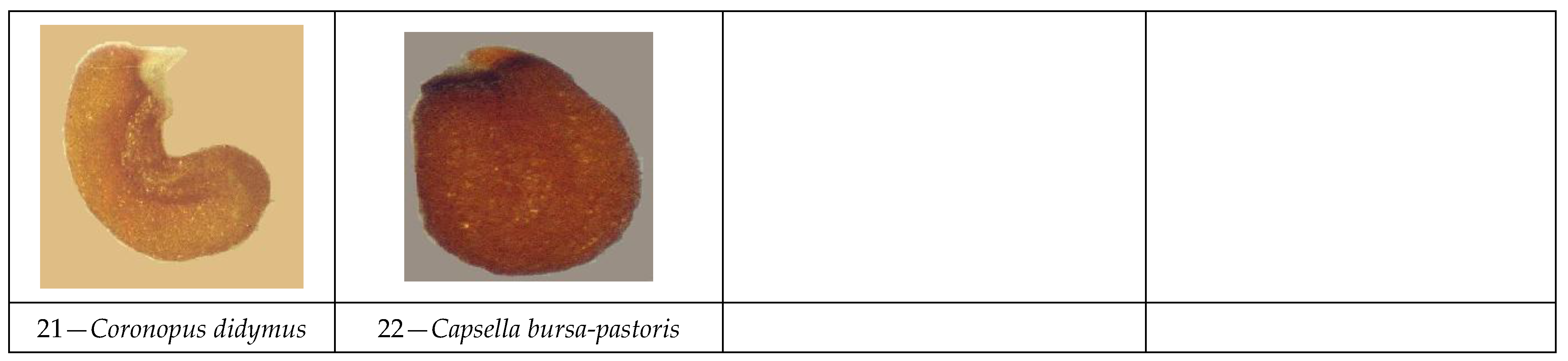 Bdcc 07 00128 g002b Bdcc 07 00128 g002b