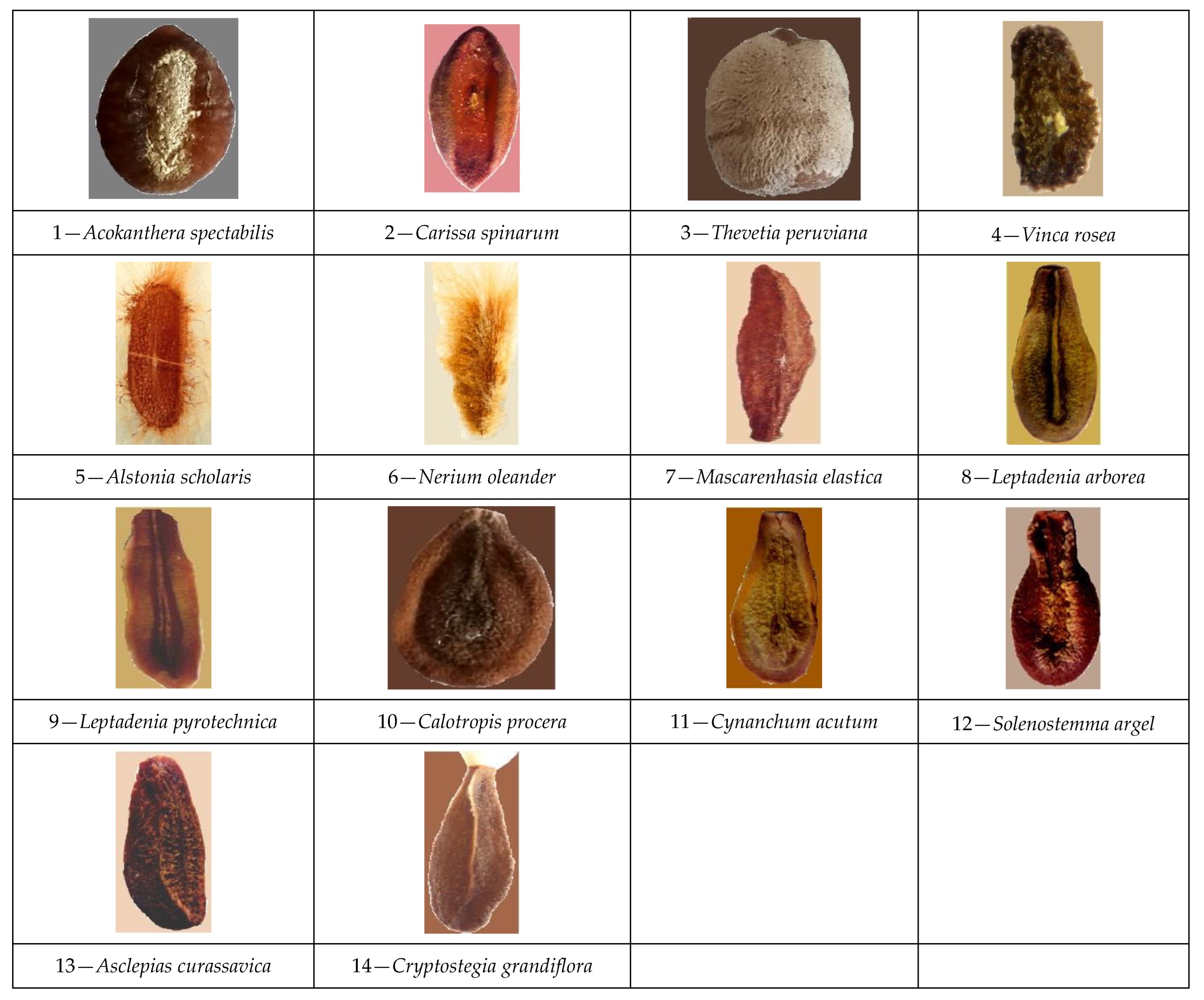 Bdcc 07 00128 g003 Bdcc 07 00128 g003