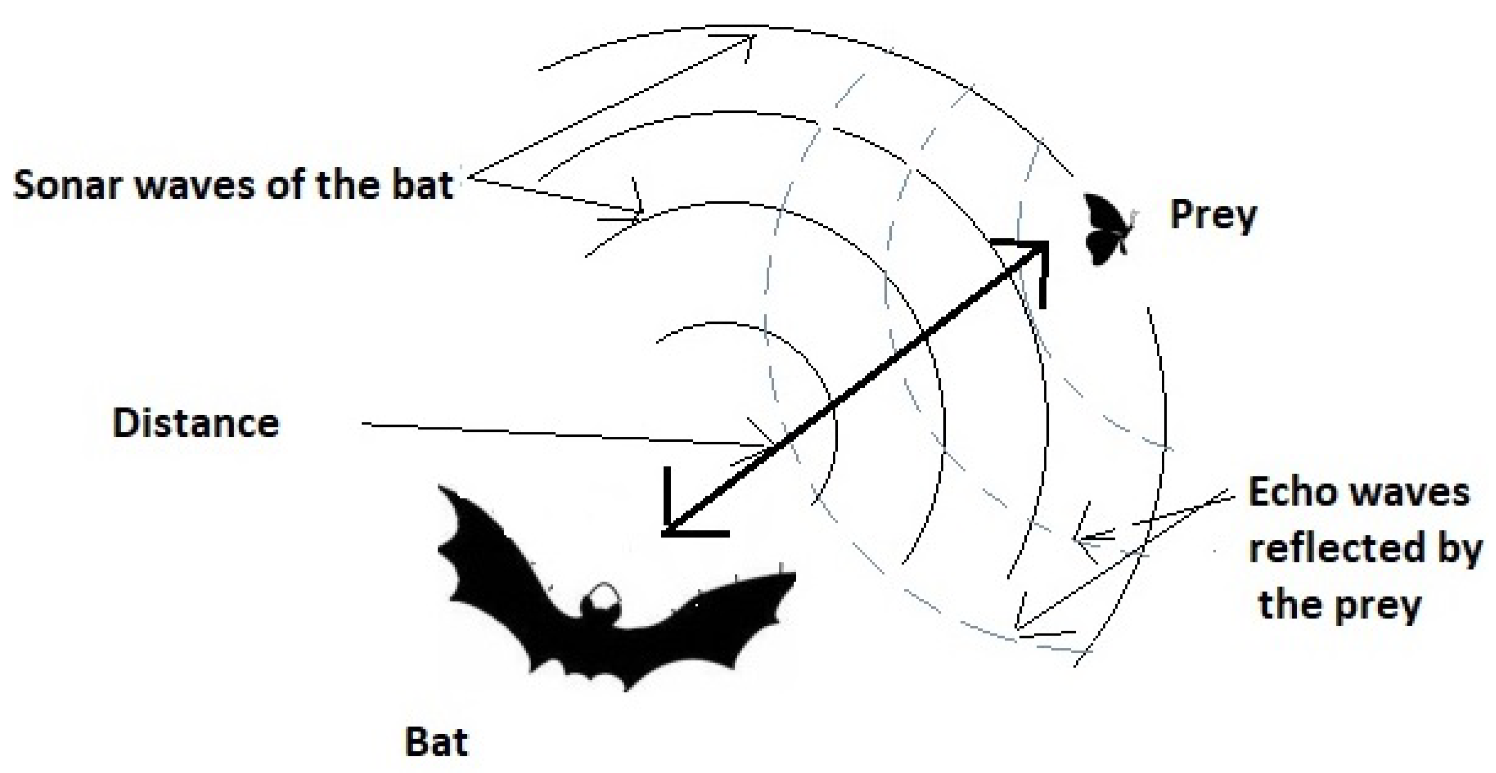BDCC Free FullText An Intelligent Bat Algorithm for  Service