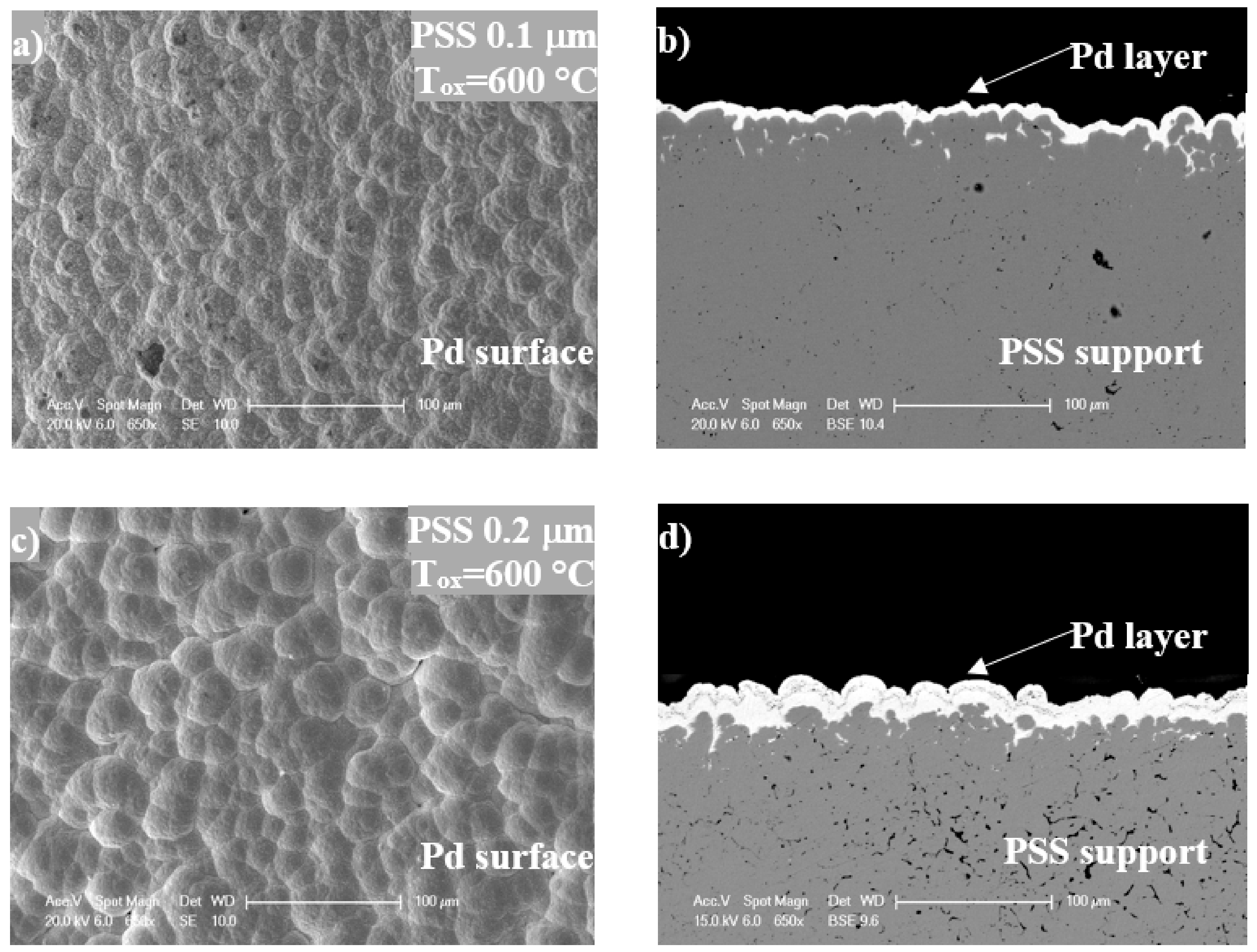 ChemEngineering Free FullText Interlayer Properties of InSitu