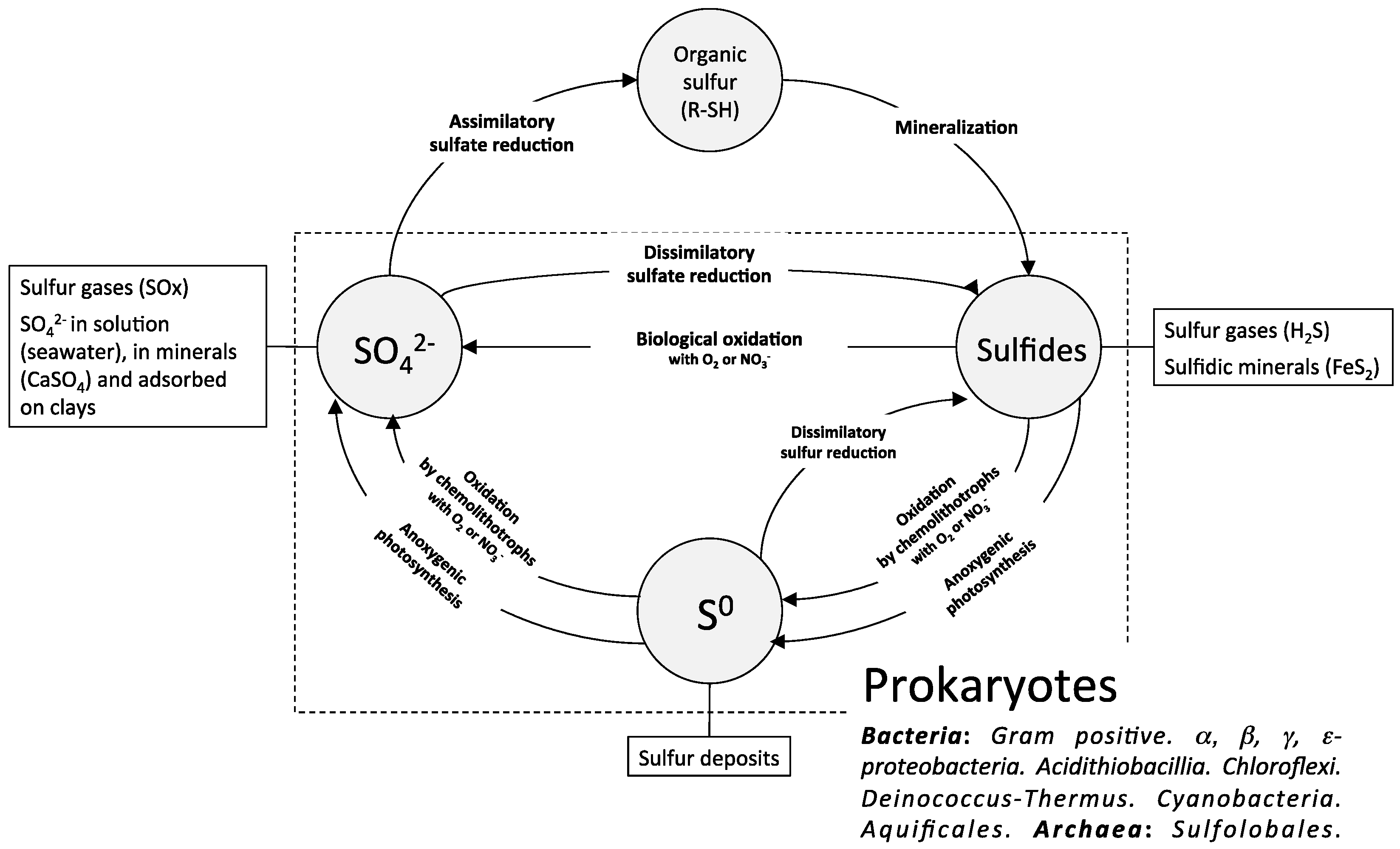 Chemengineering 03 00072 g001