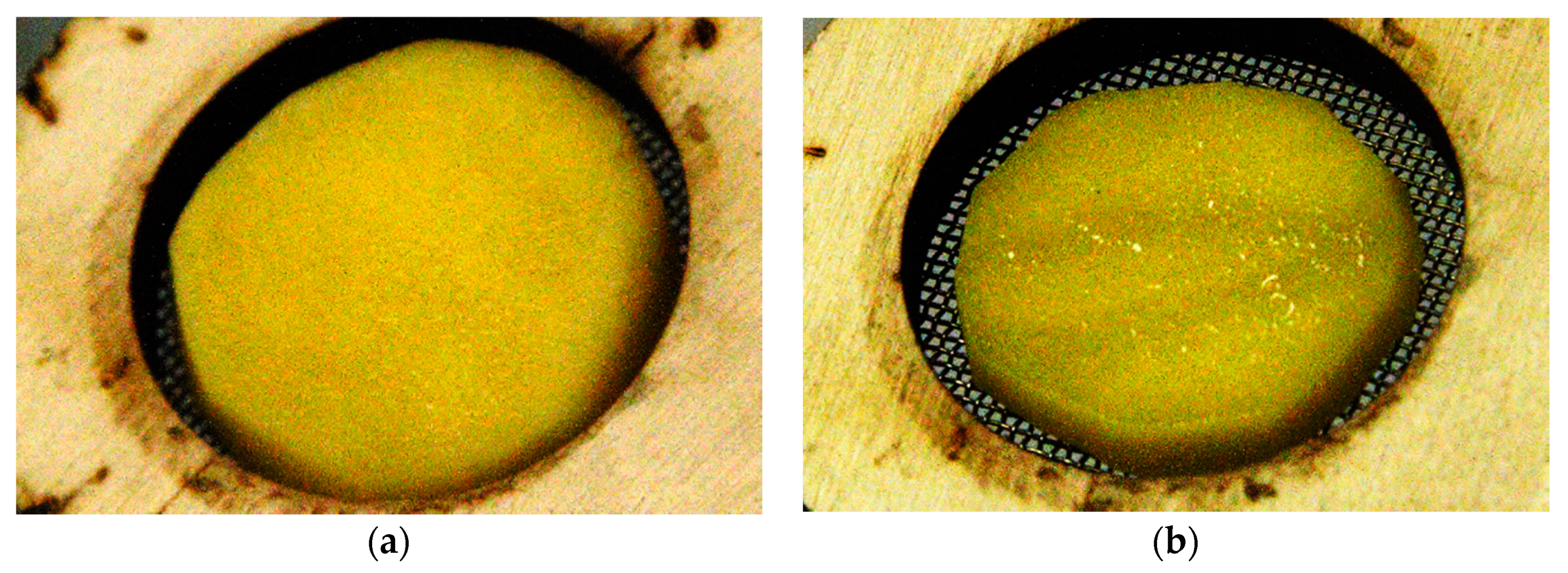 Chemengineering 03 00091 g002