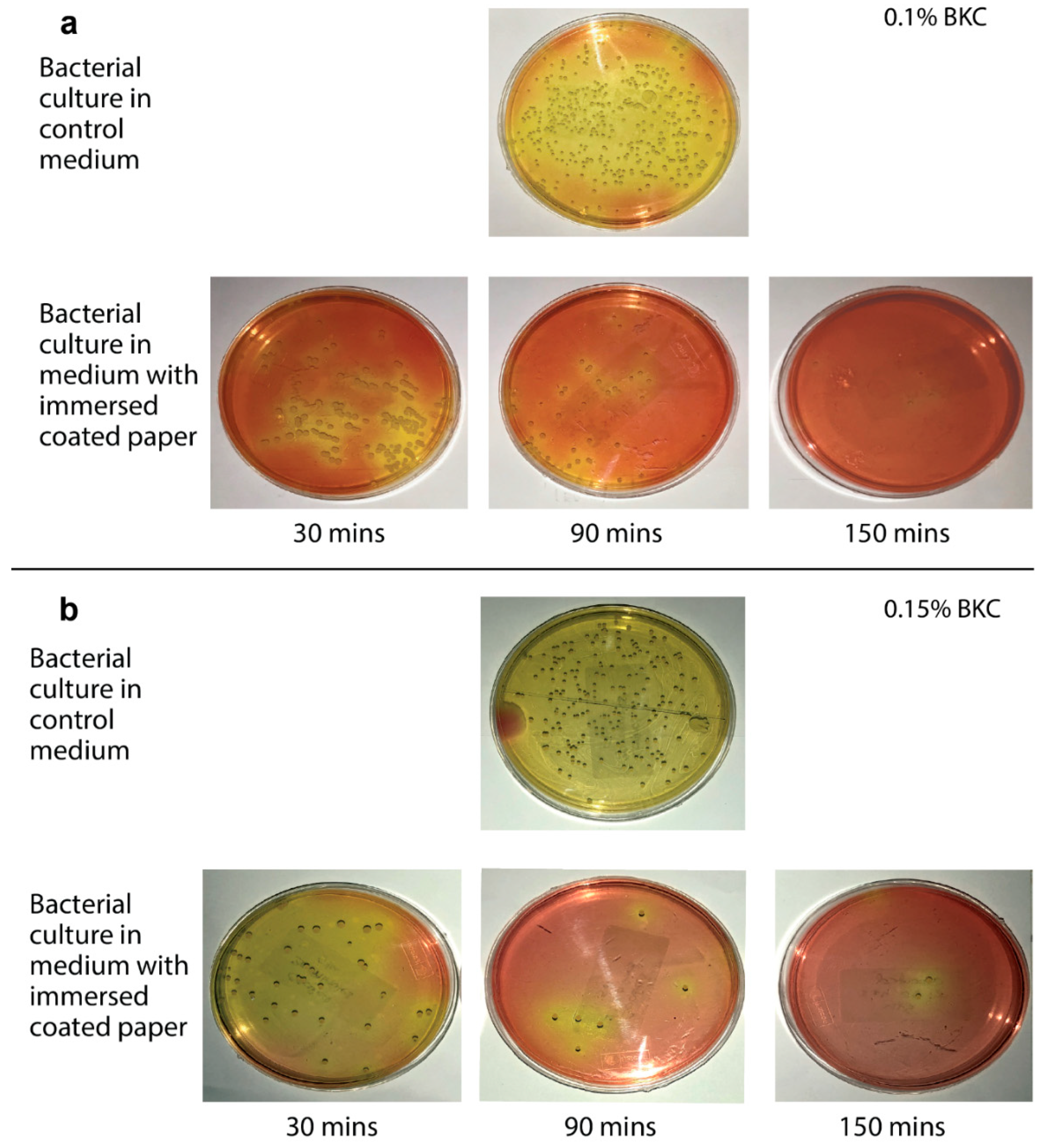 Chemengineering 05 00001 g002