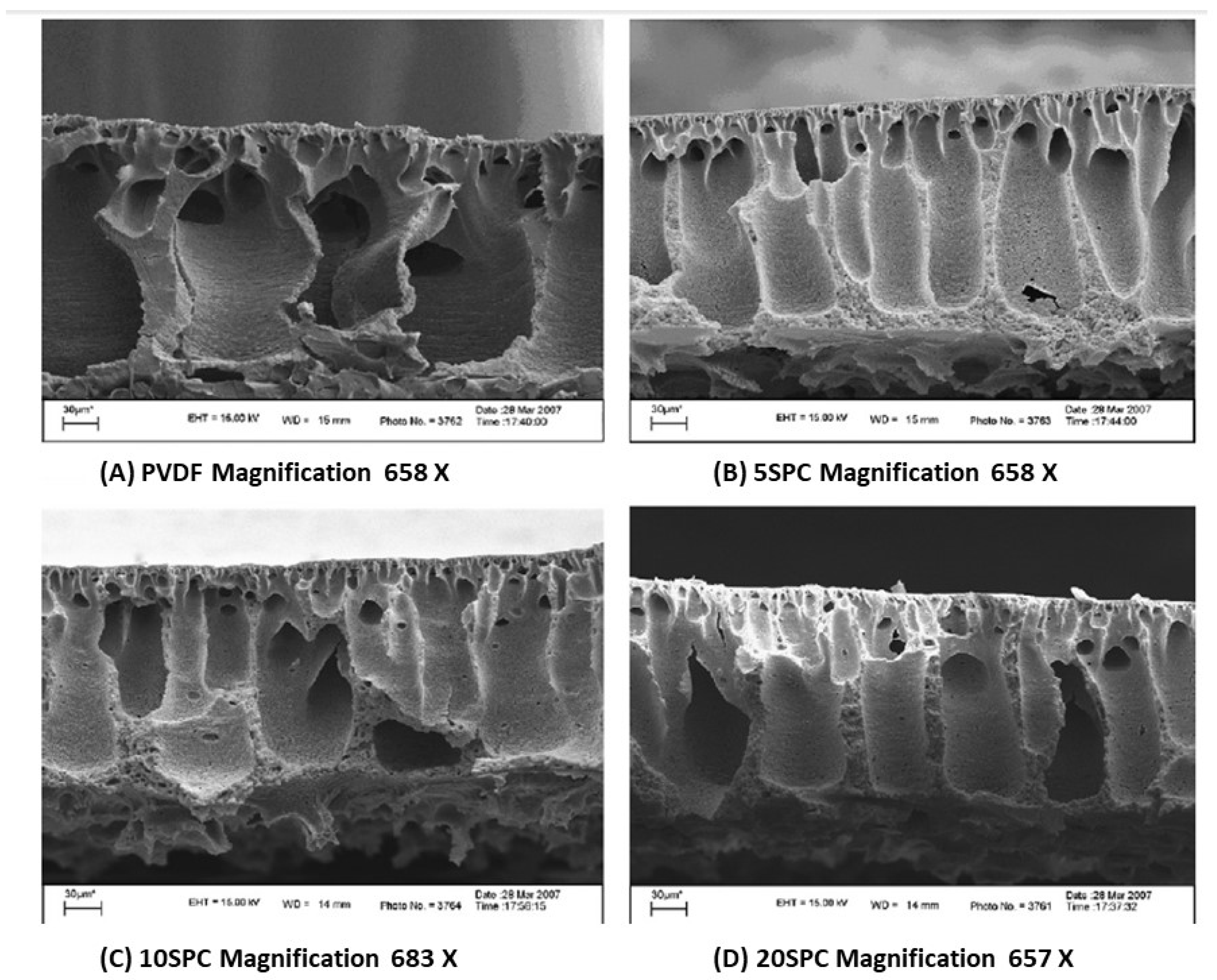 Chemengineering 05 00034 g001 550