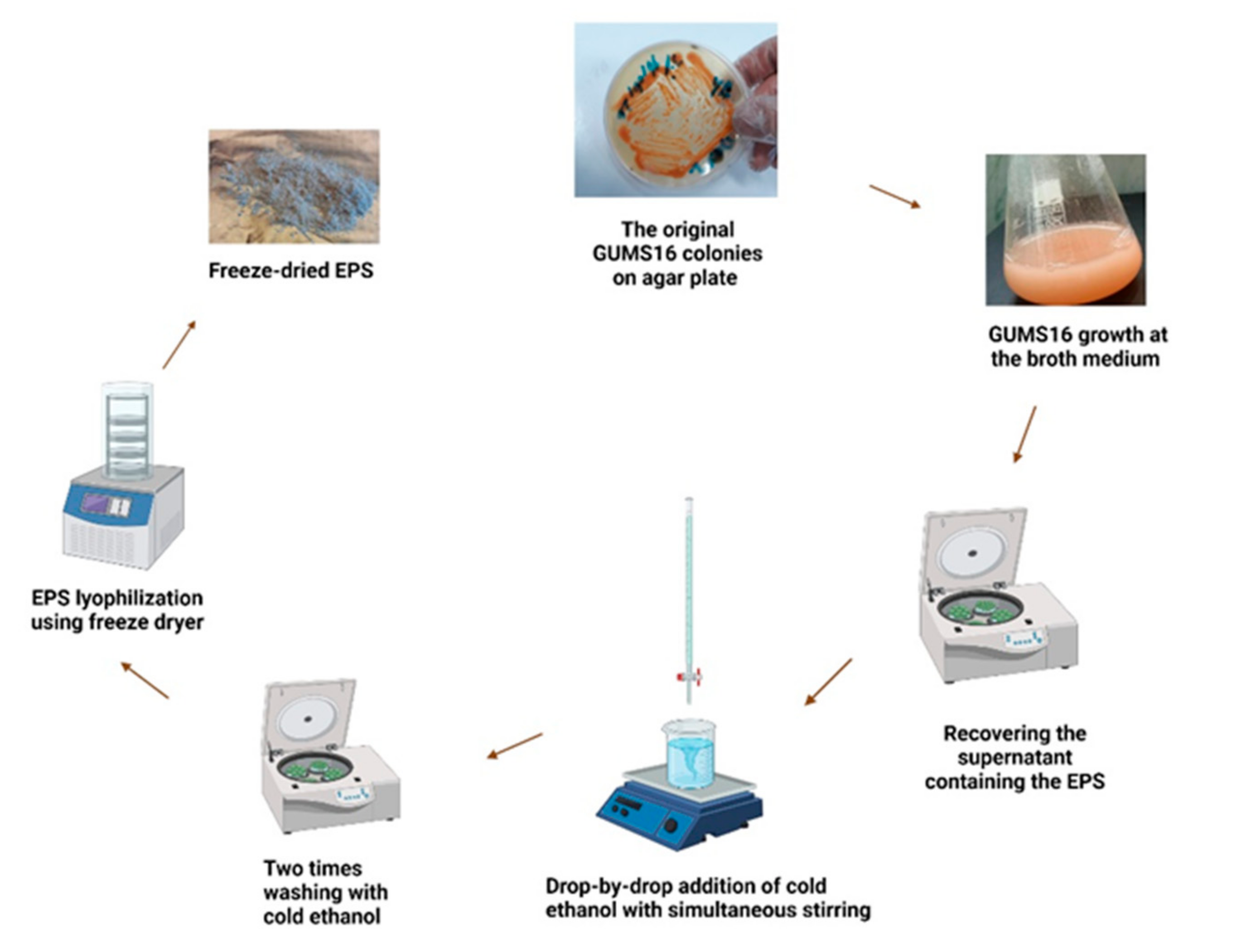 Chemengineering 05 00039 g001 Chemengineering 05 00039 g001