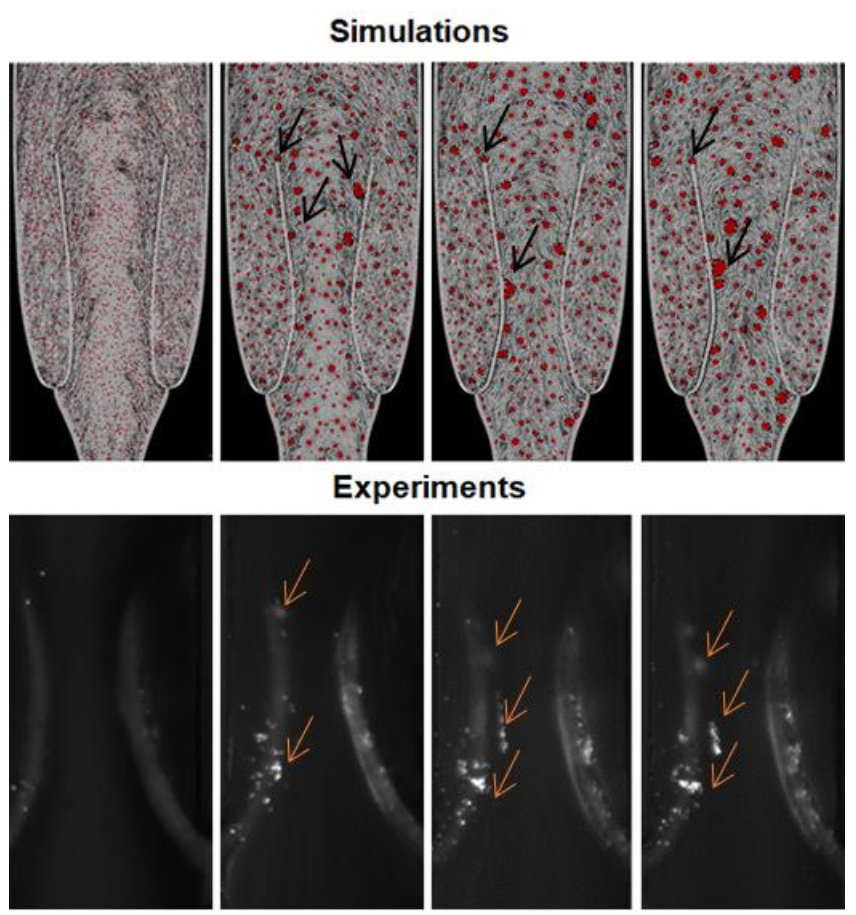 Chemengineering 05 00040 g006