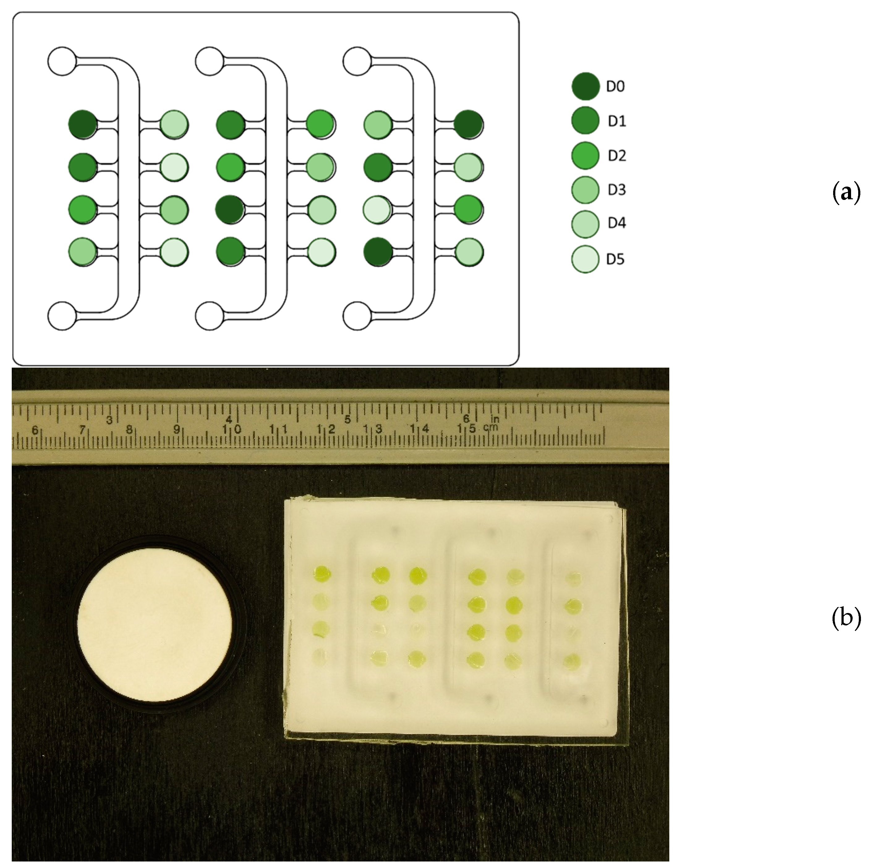 Chemengineering 05 00049 g001