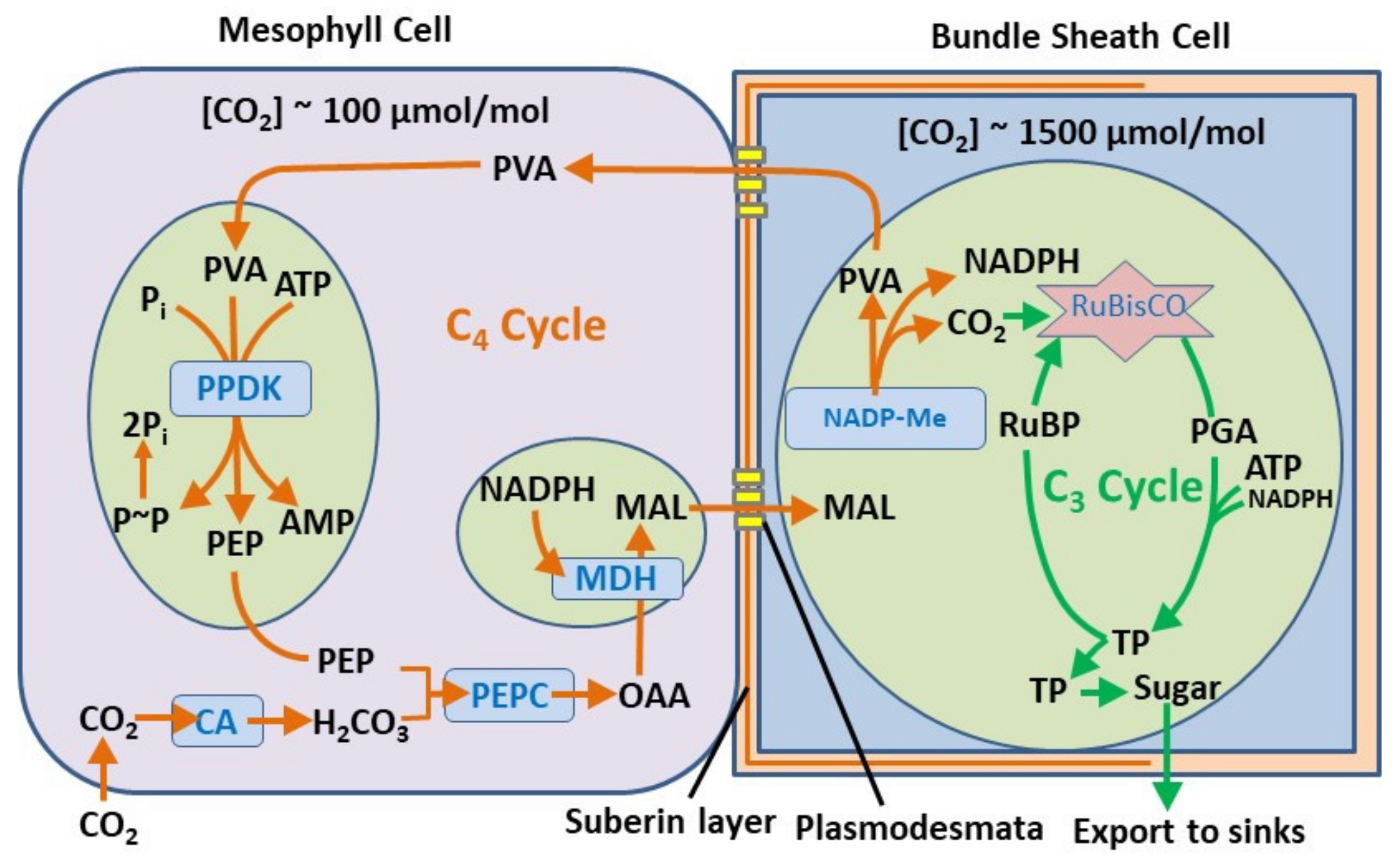 Chemengineering 05 00067 sch003 550